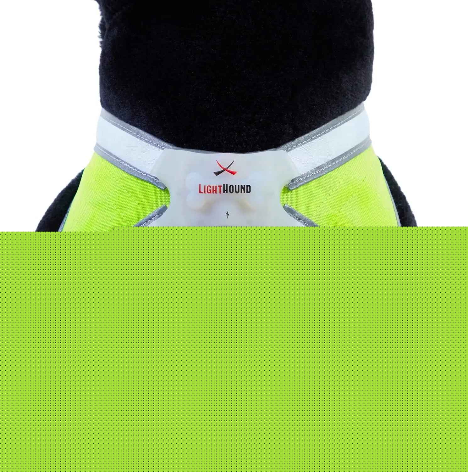 LED Light-Up Dog Harness – USB Rechargeable Reflective Safety Vest
