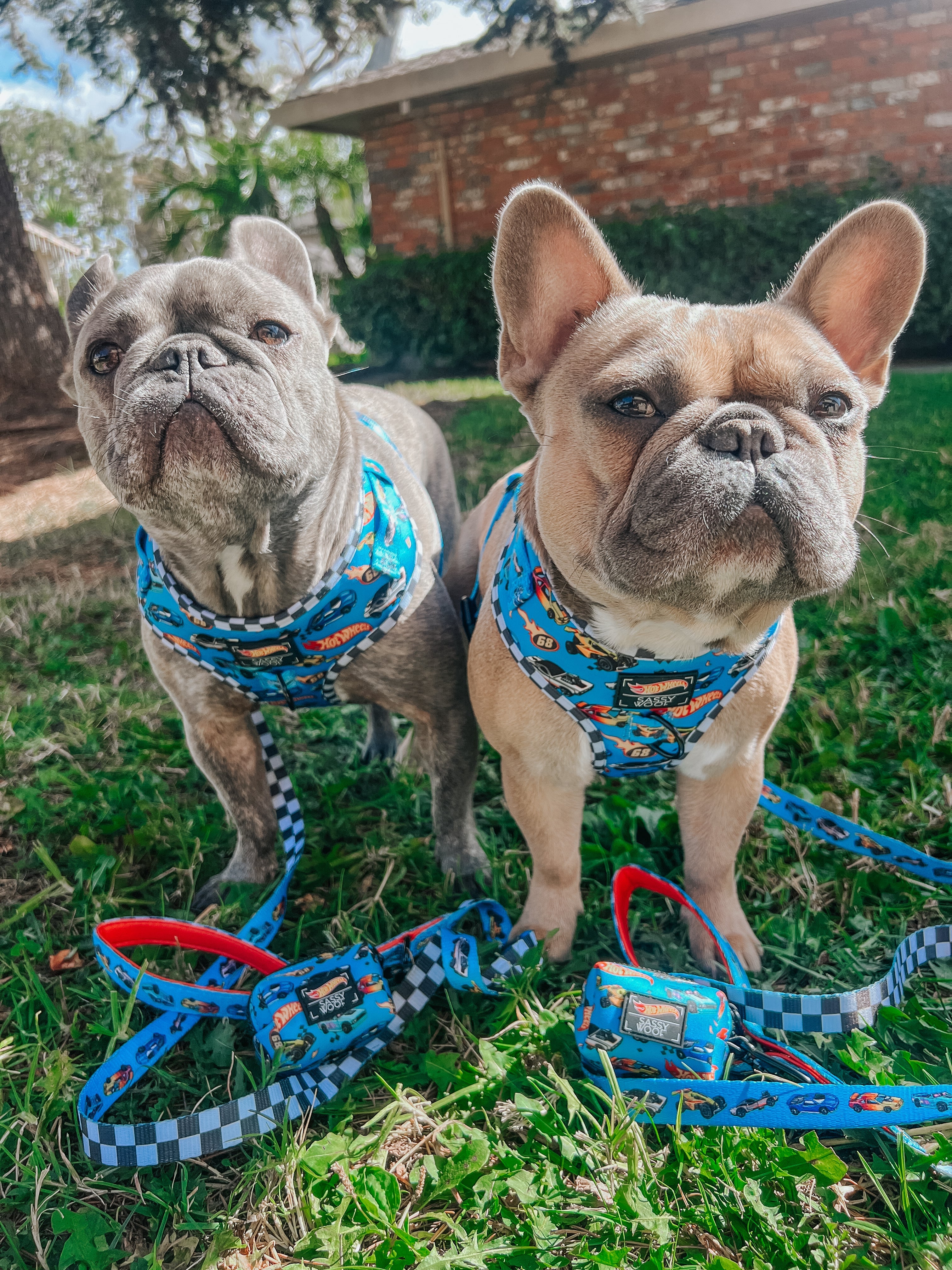 Dog Leash - Hot Wheels™