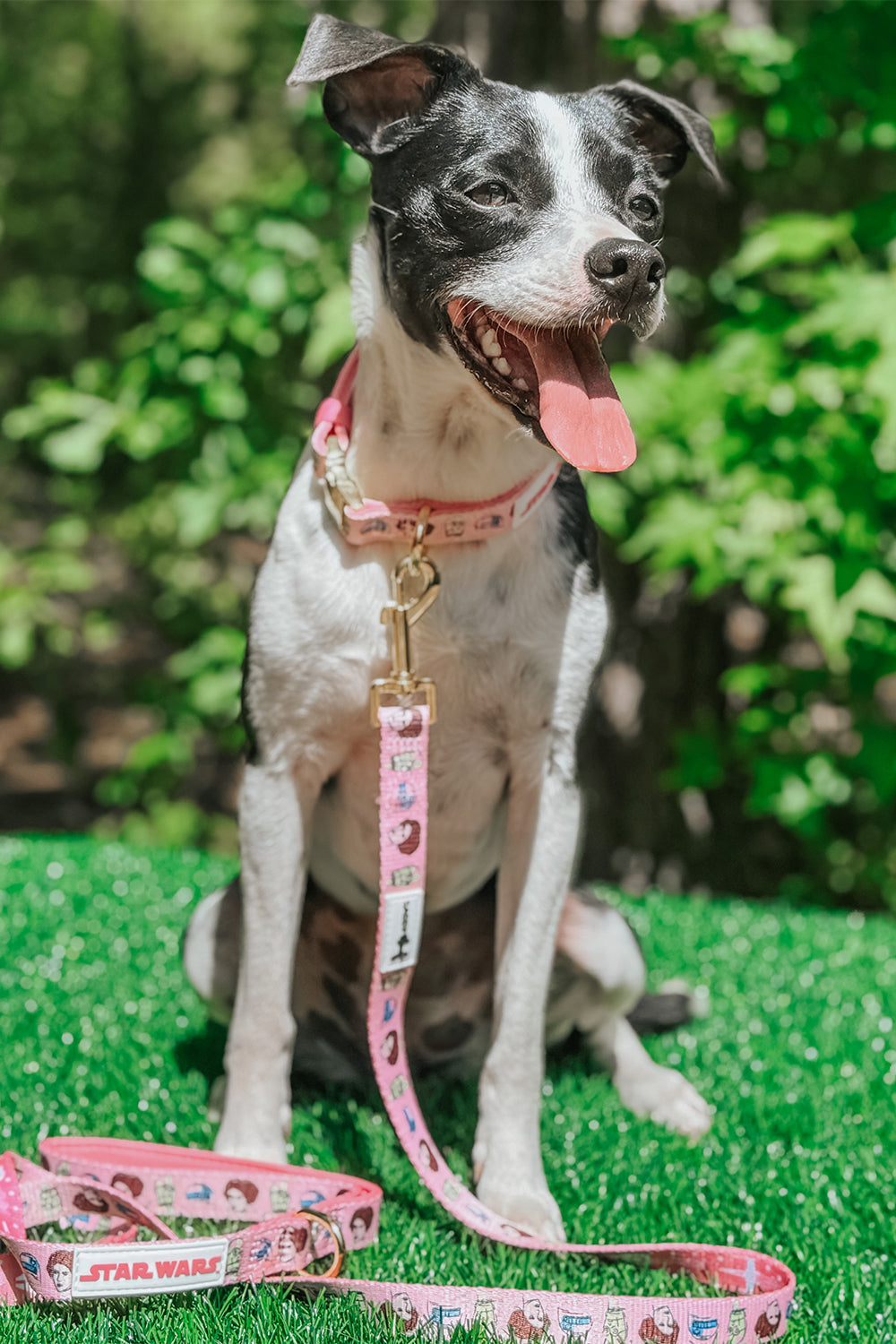 Dog Leash - STAR WARS™ Princess Leia