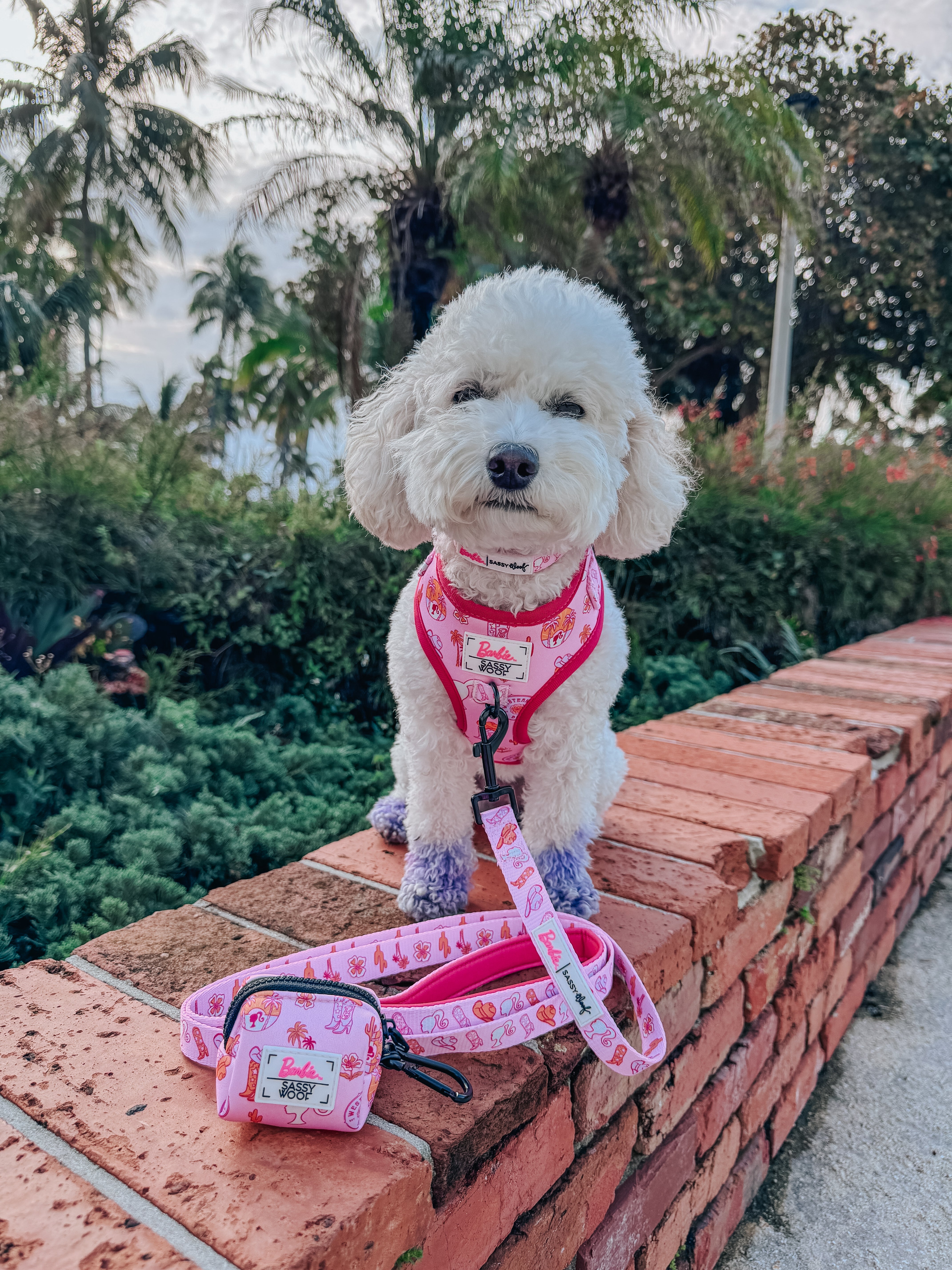 Dog Leash - Western Barbie™