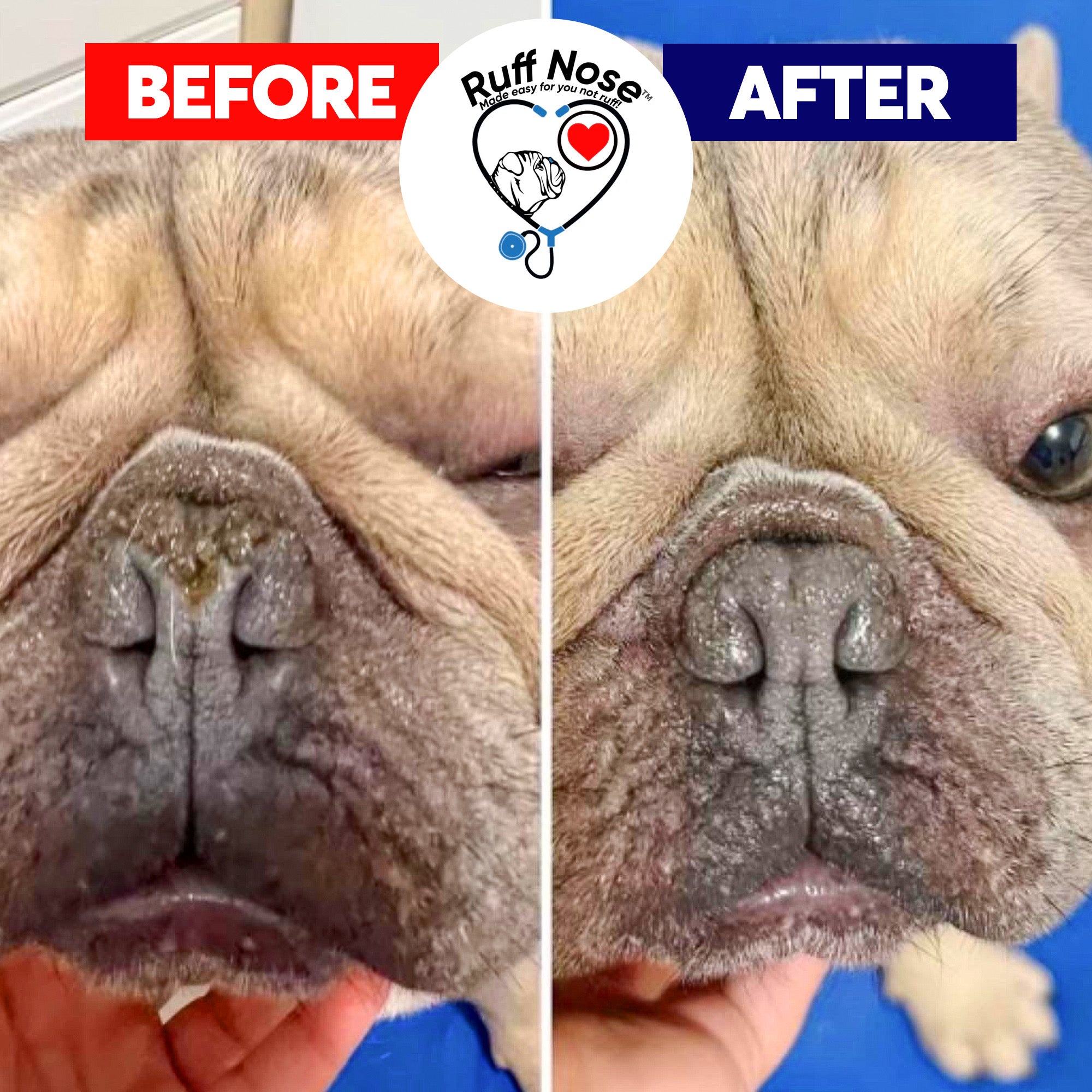 Pet Nose Repair Balm-  4 oz