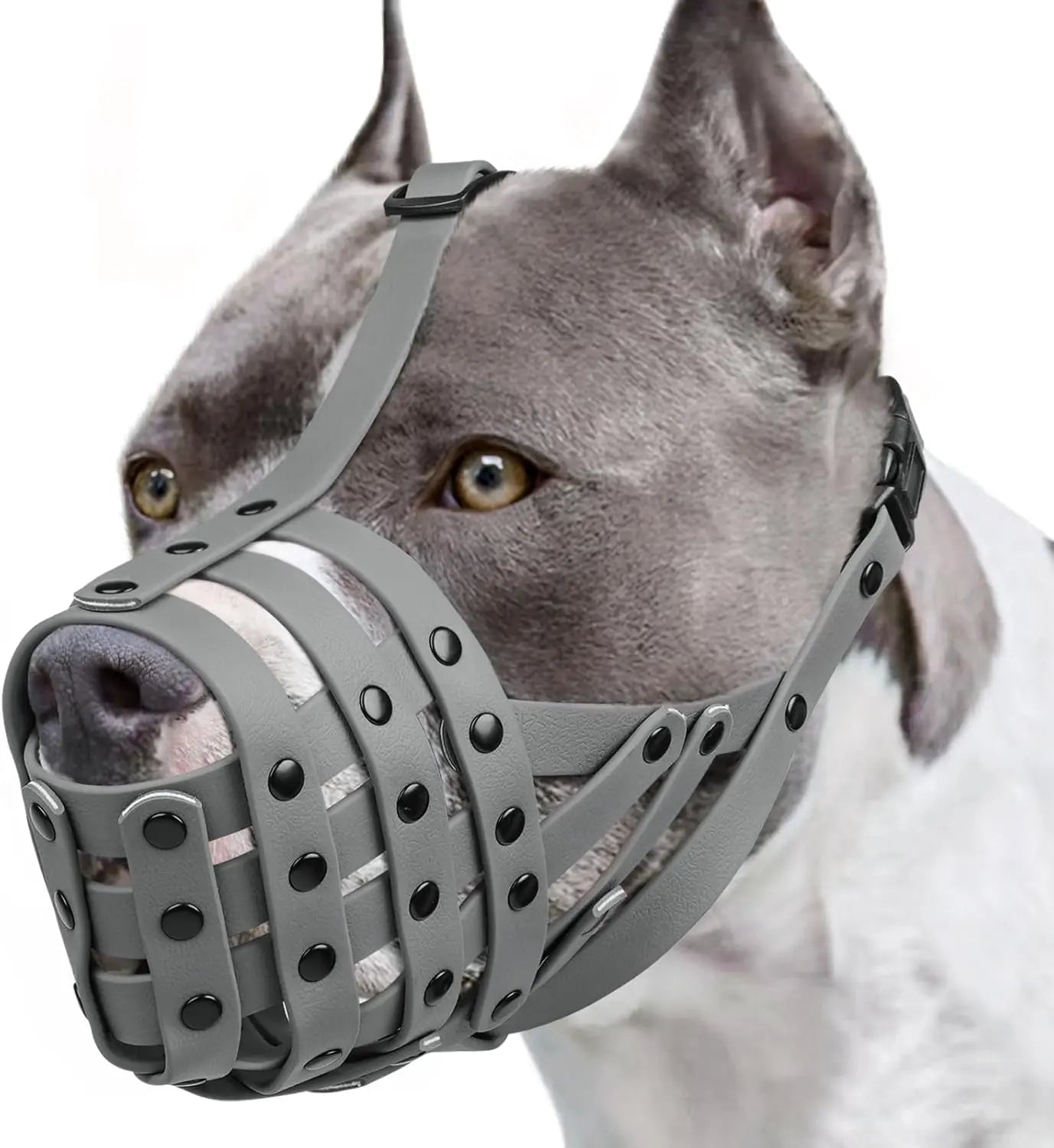 Lightweight Basket Dog Muzzle – Allows Panting, Drinking & Training