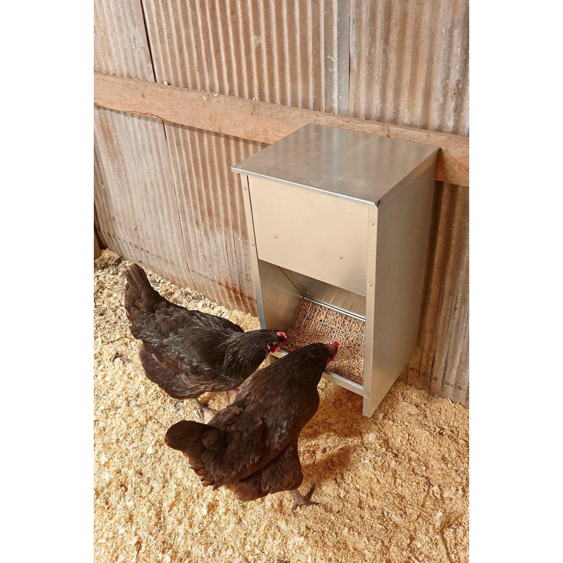 Little Giant Galvanized Steel Poultry Feeder 25 lb High Capacity Wall Mount