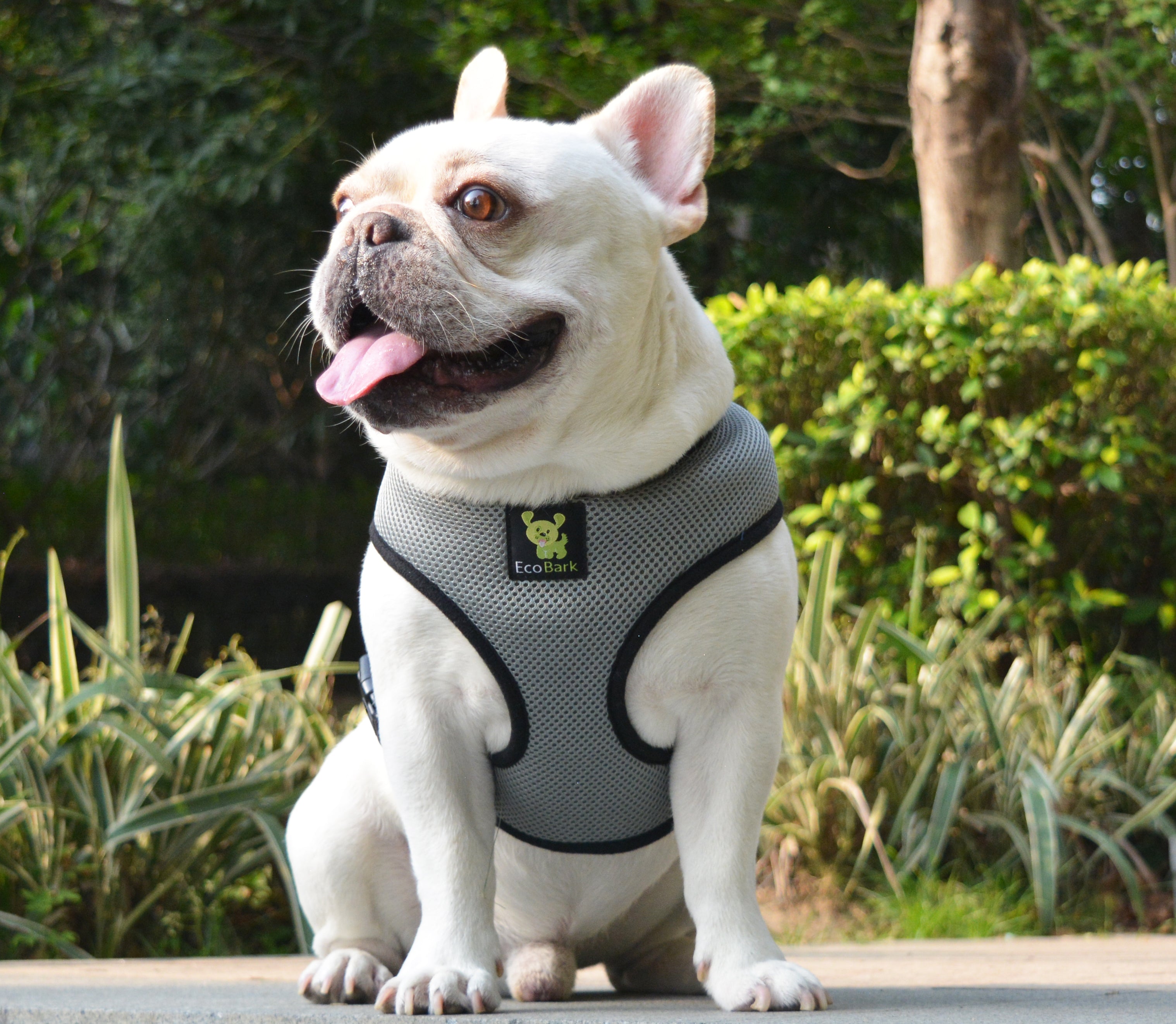 EcoBark Gray Dog Harness - Over-the-Head Dog Soft Mesh Vest Halter for Small to Medium Dogs and Puppies
