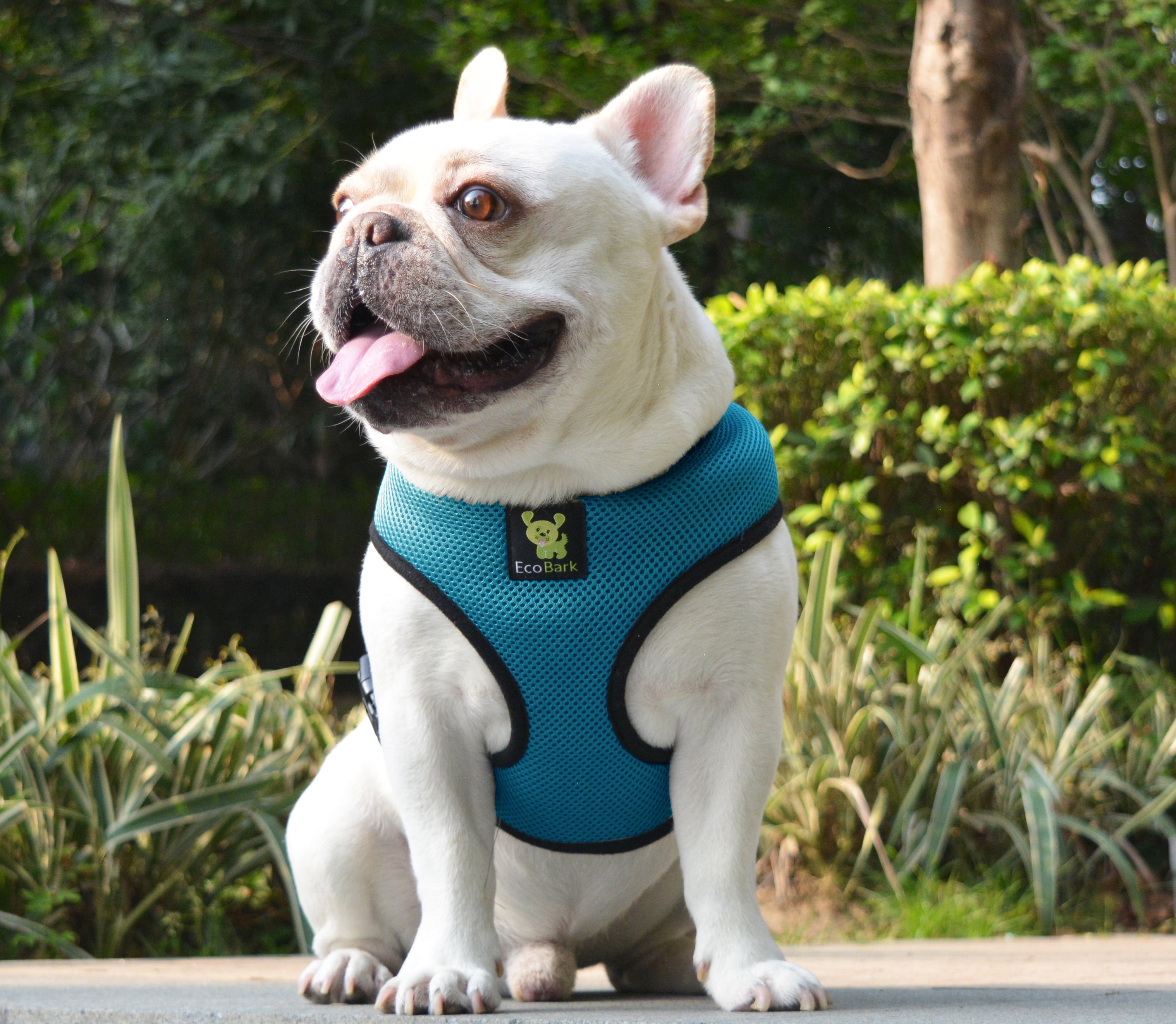 EcoBark Teal Dog Harness - Over-the-Head Soft Mesh Dog Vest Halter for Small to Medium Dogs and Puppies