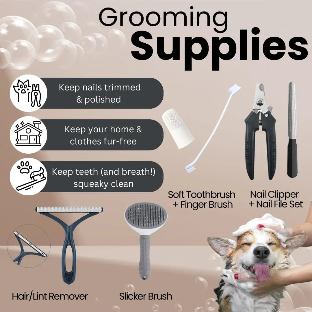 22-Piece Puppy Starter Kit – Training & Care Essentials