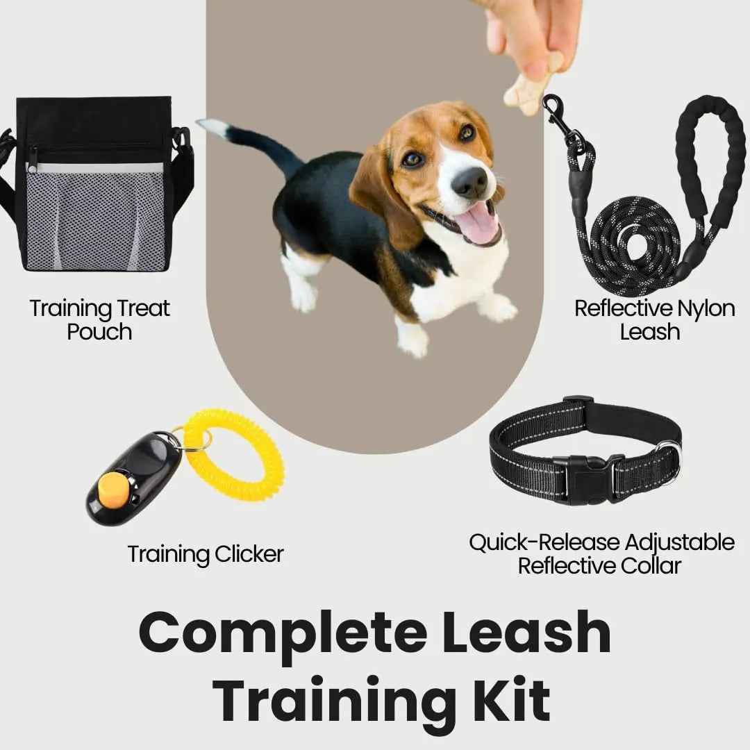 22-Piece Puppy Starter Kit  Training & Care Essentials