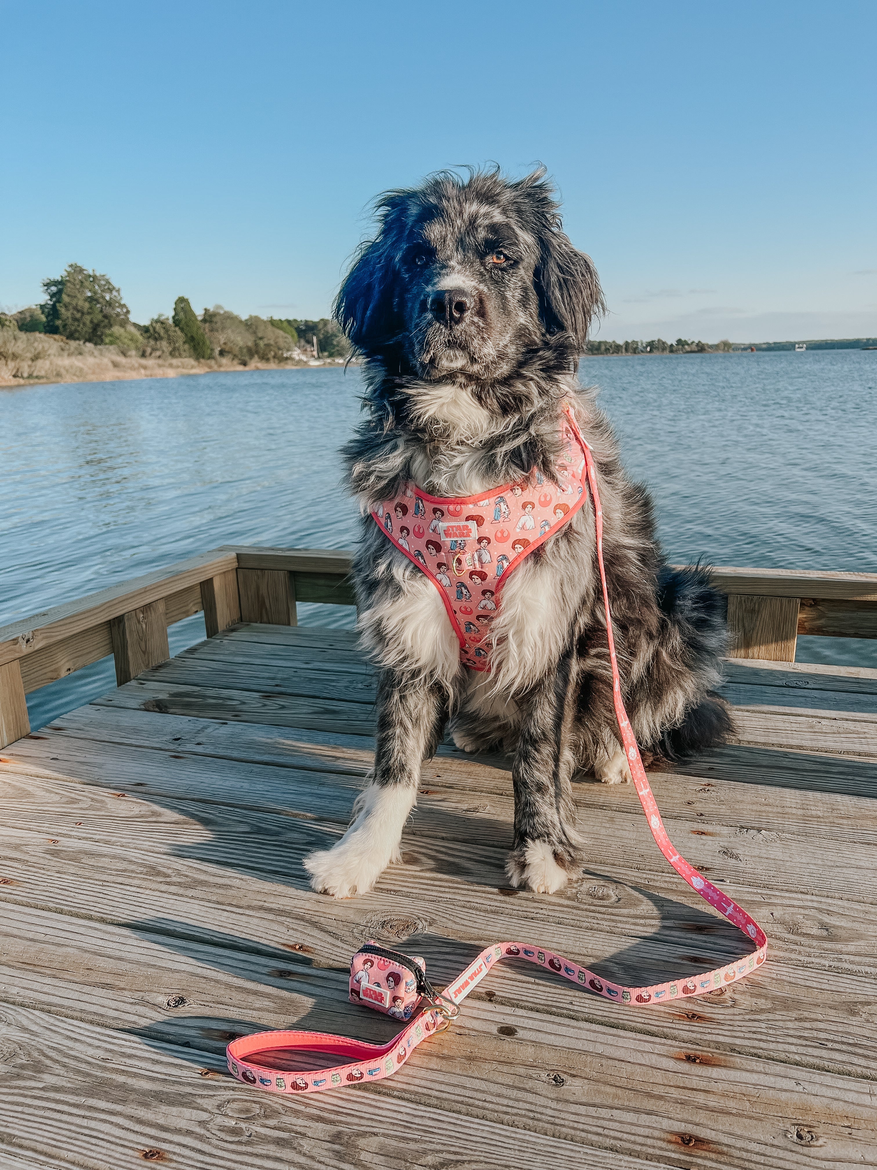 Dog Leash - STAR WARS™ Princess Leia