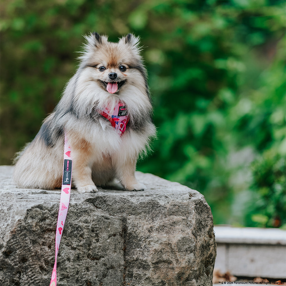 Dog Leash - Mean Girls™