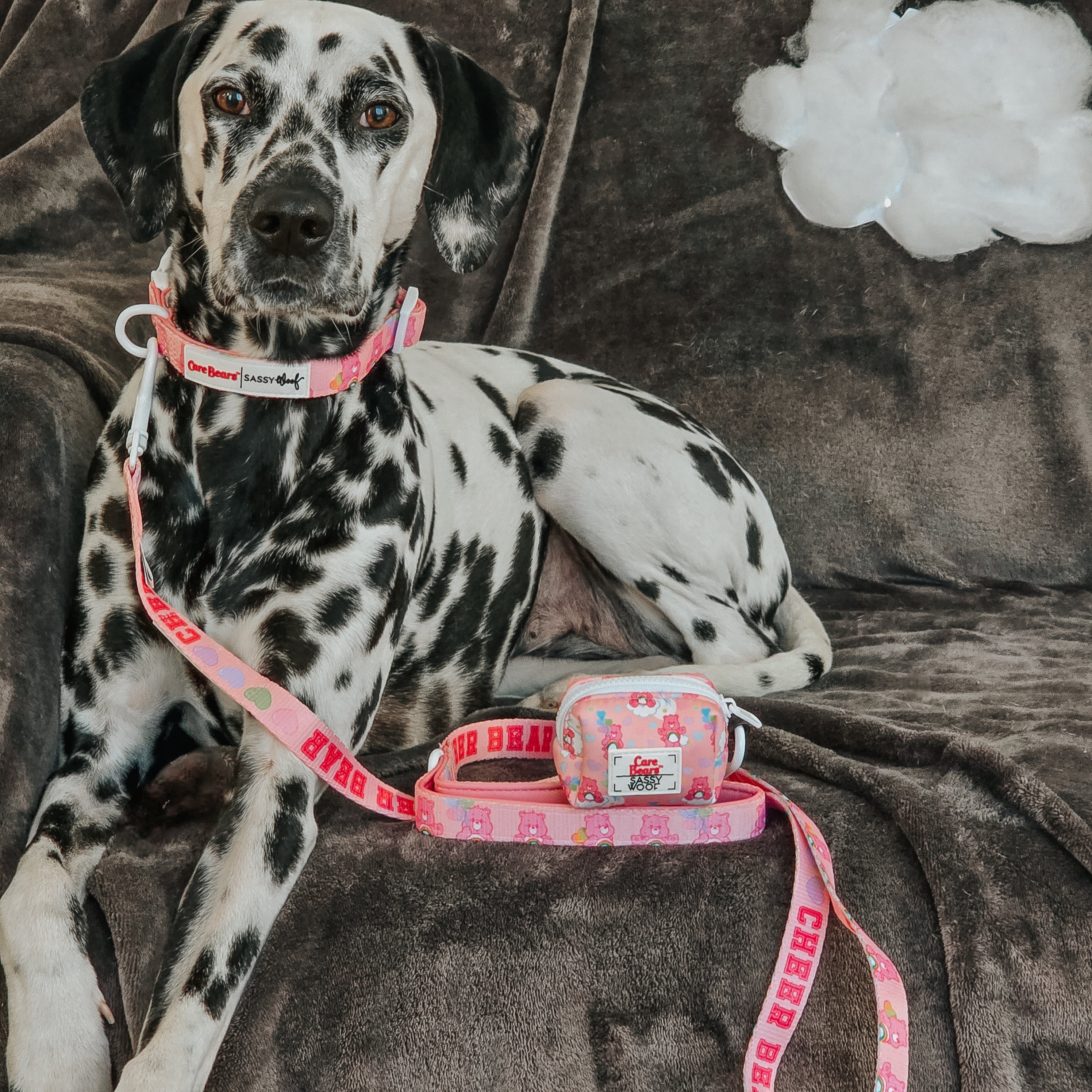 Dog Leash - Care Bears™ Cheer Bear