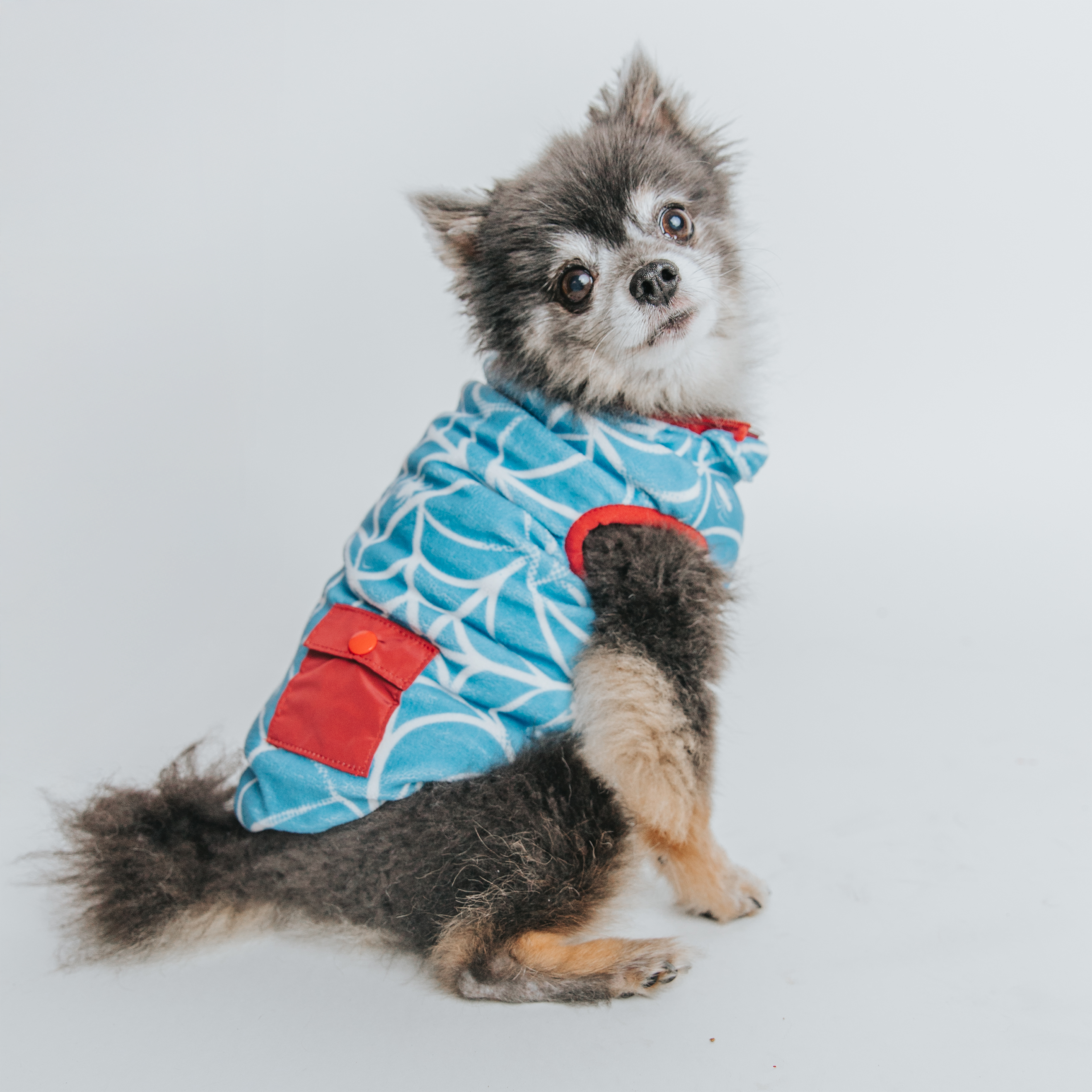 Dog Reversible Sherpa Jacket - Marvel’s Spider-Man