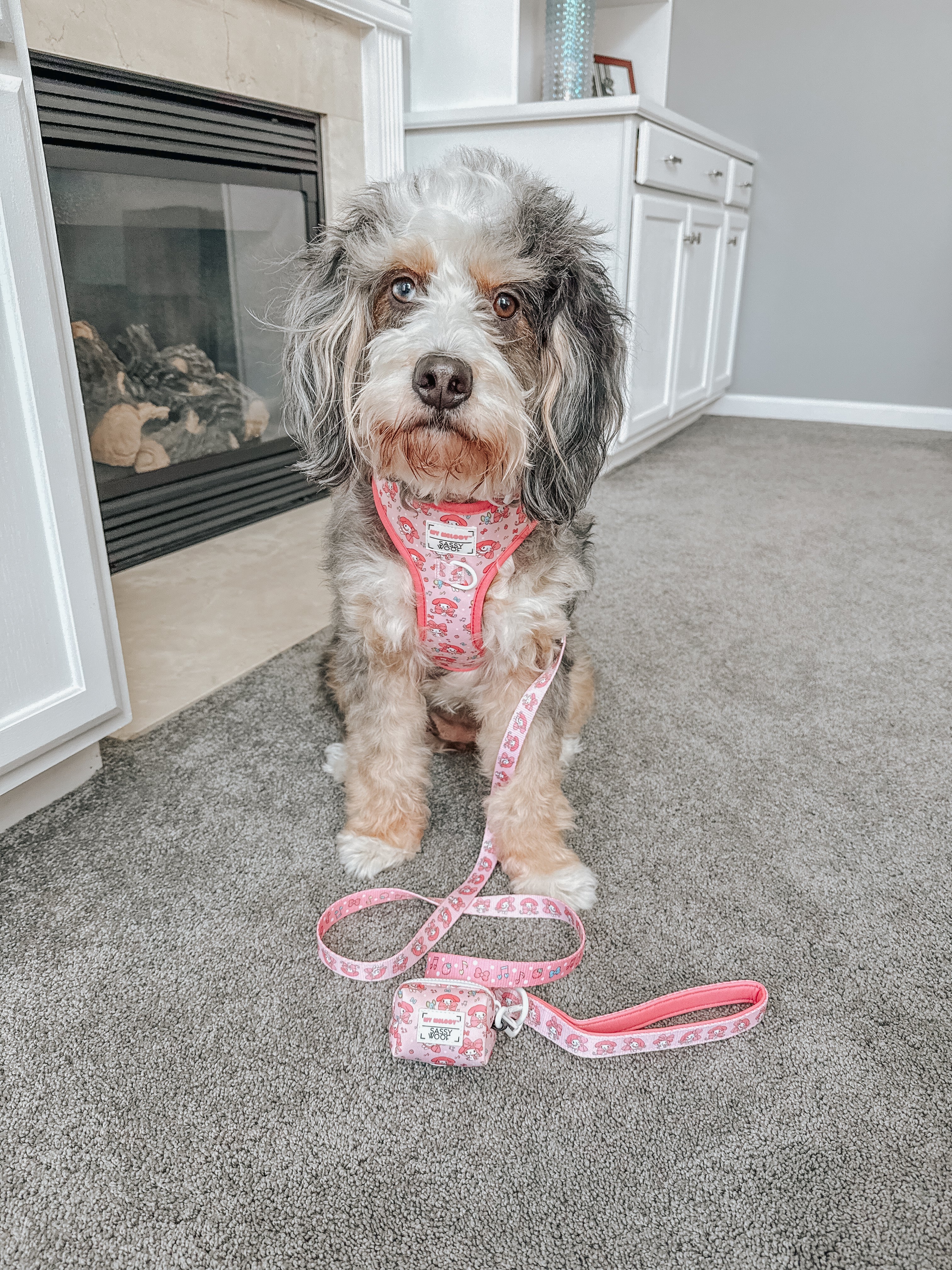 Dog Leash - My Melody™
