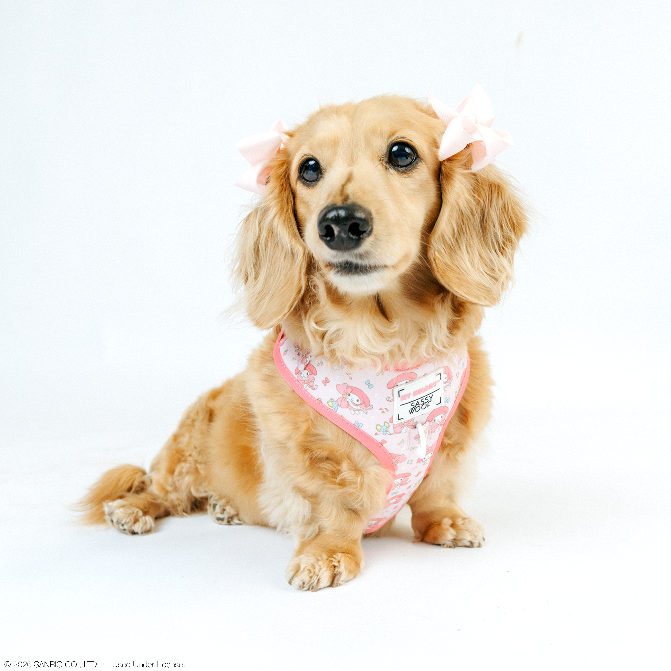 Dog Four Piece Bundle - My Melody™