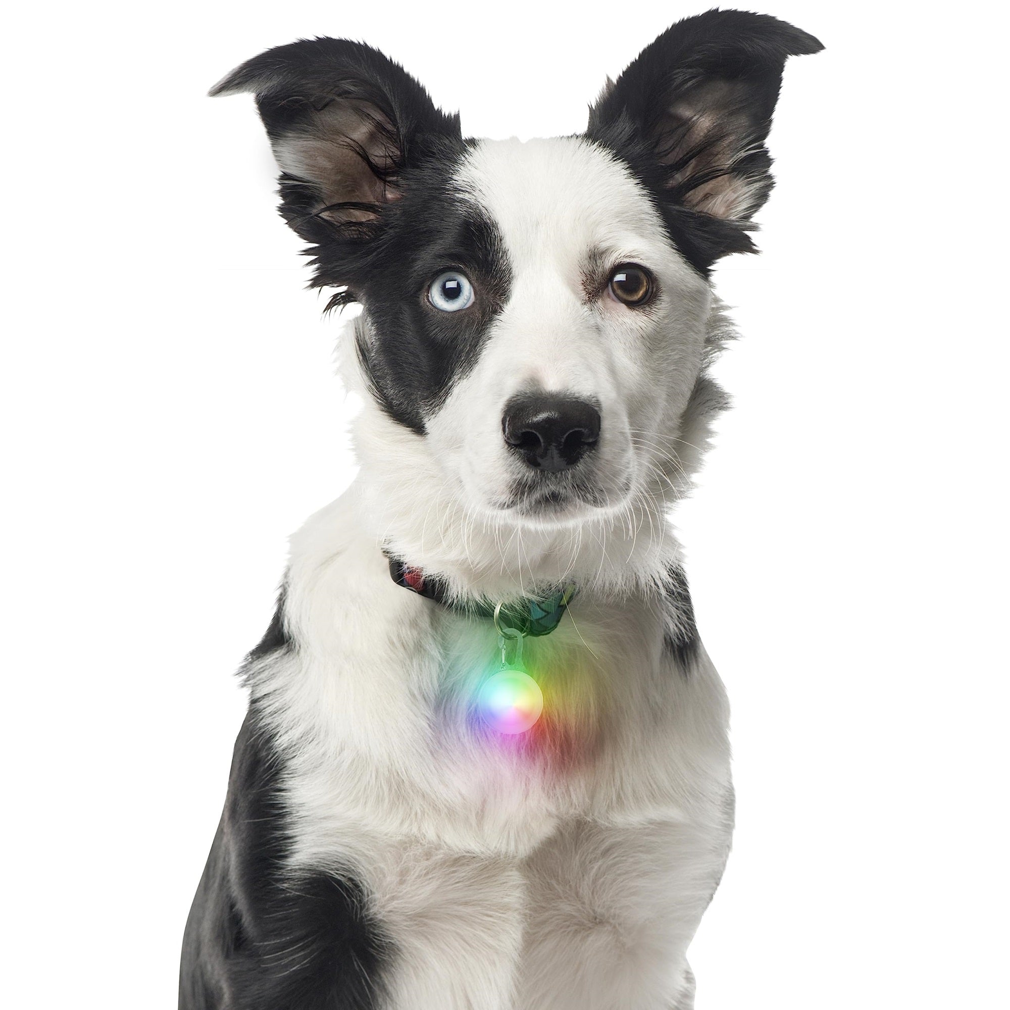 2023 Nite Ize Spotlit Carabiner Light, Stainless/Disc-O Led, Map: $7.64