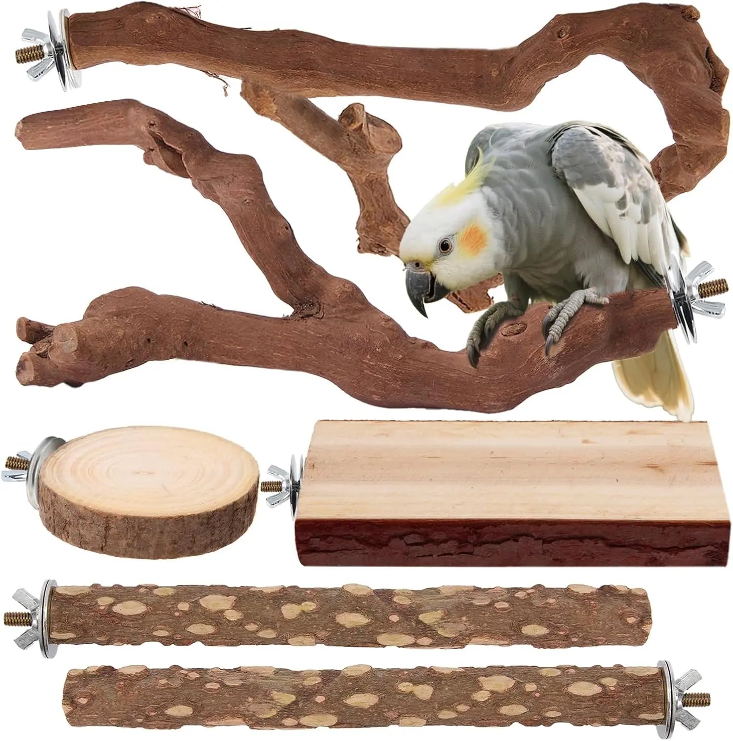 Natural Bird Perch Set – 6-Piece Grapewood & Peppercorn Branch Perches