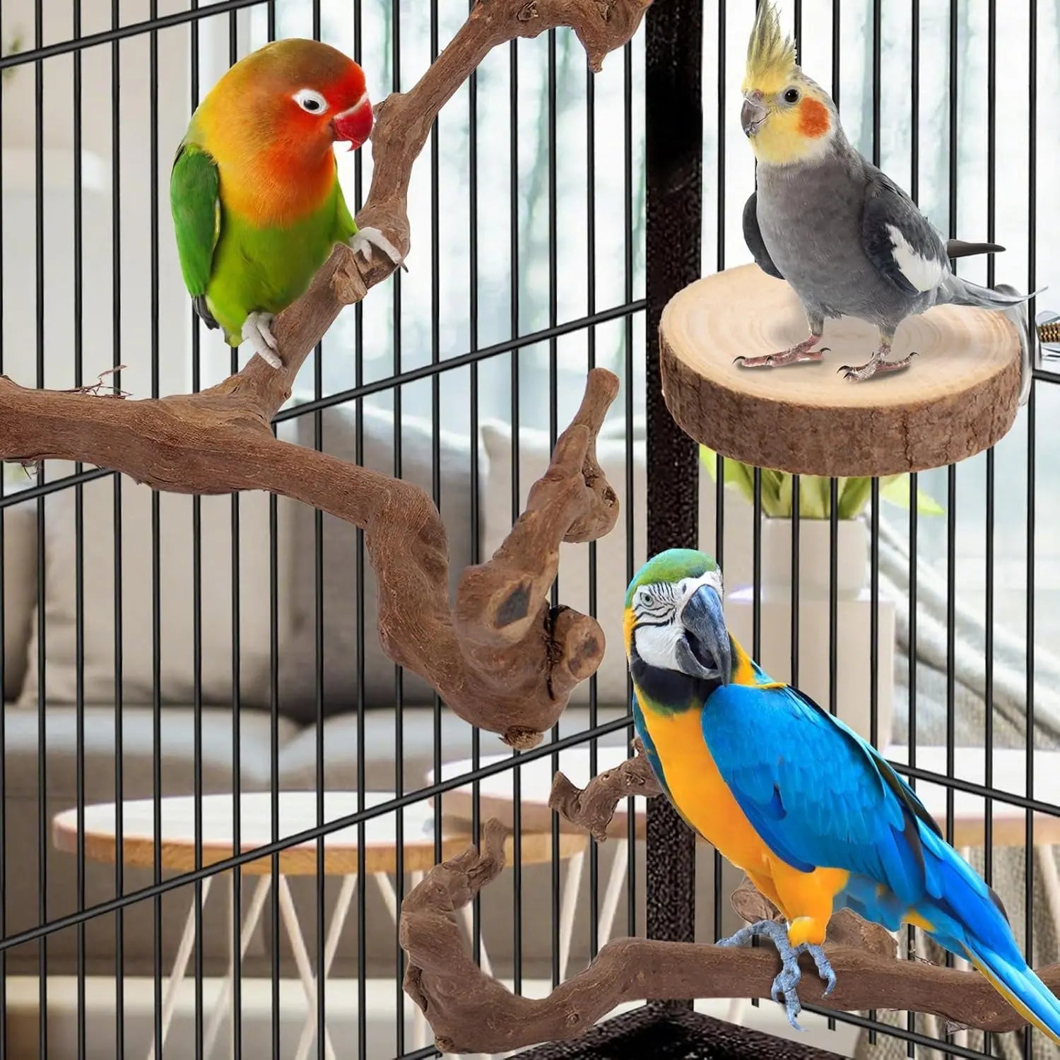 Natural Bird Perch Set – 6-Piece Grapewood & Peppercorn Branch Perches