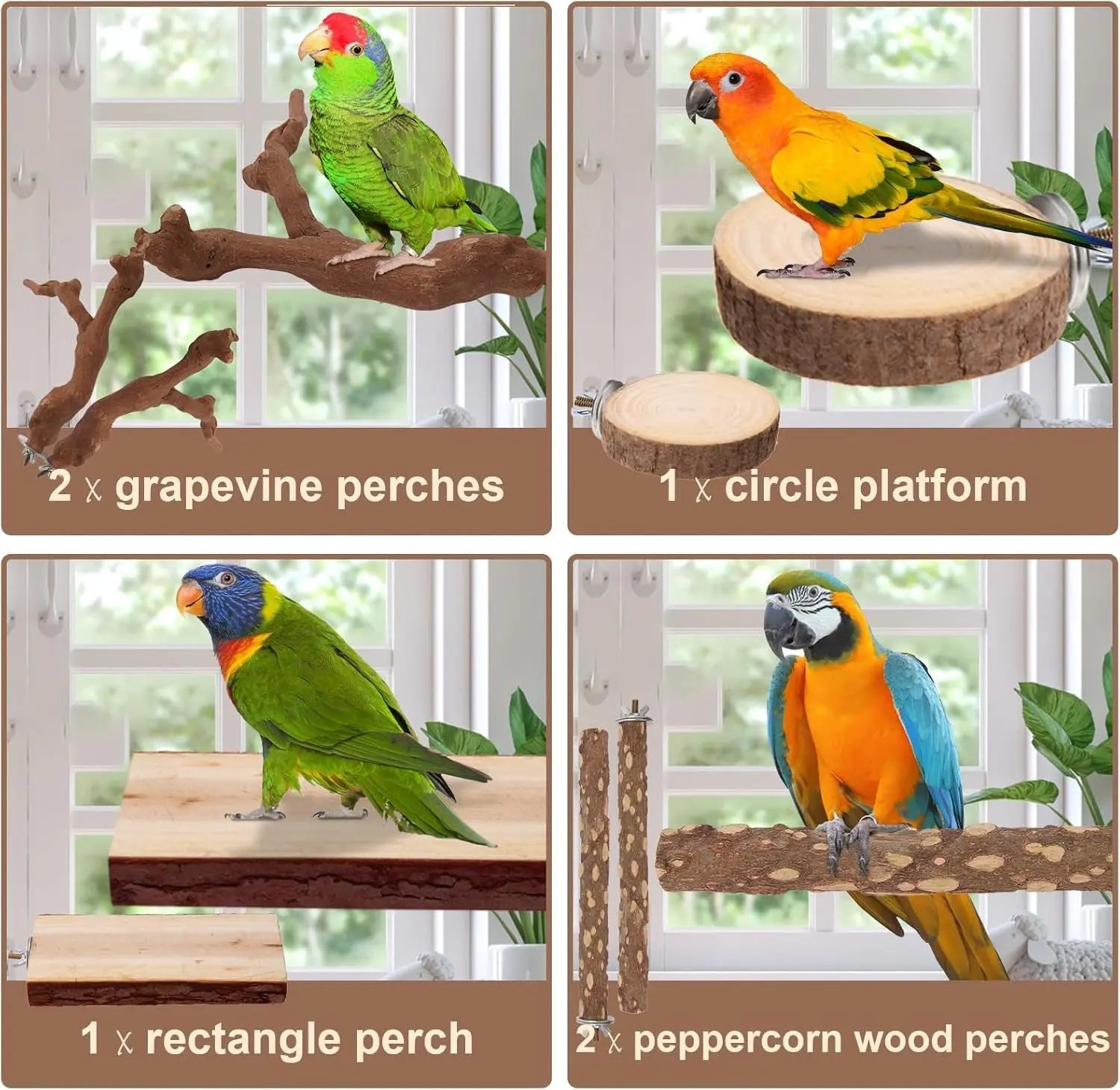 Natural Bird Perch Set – 6-Piece Grapewood & Peppercorn Branch Perches