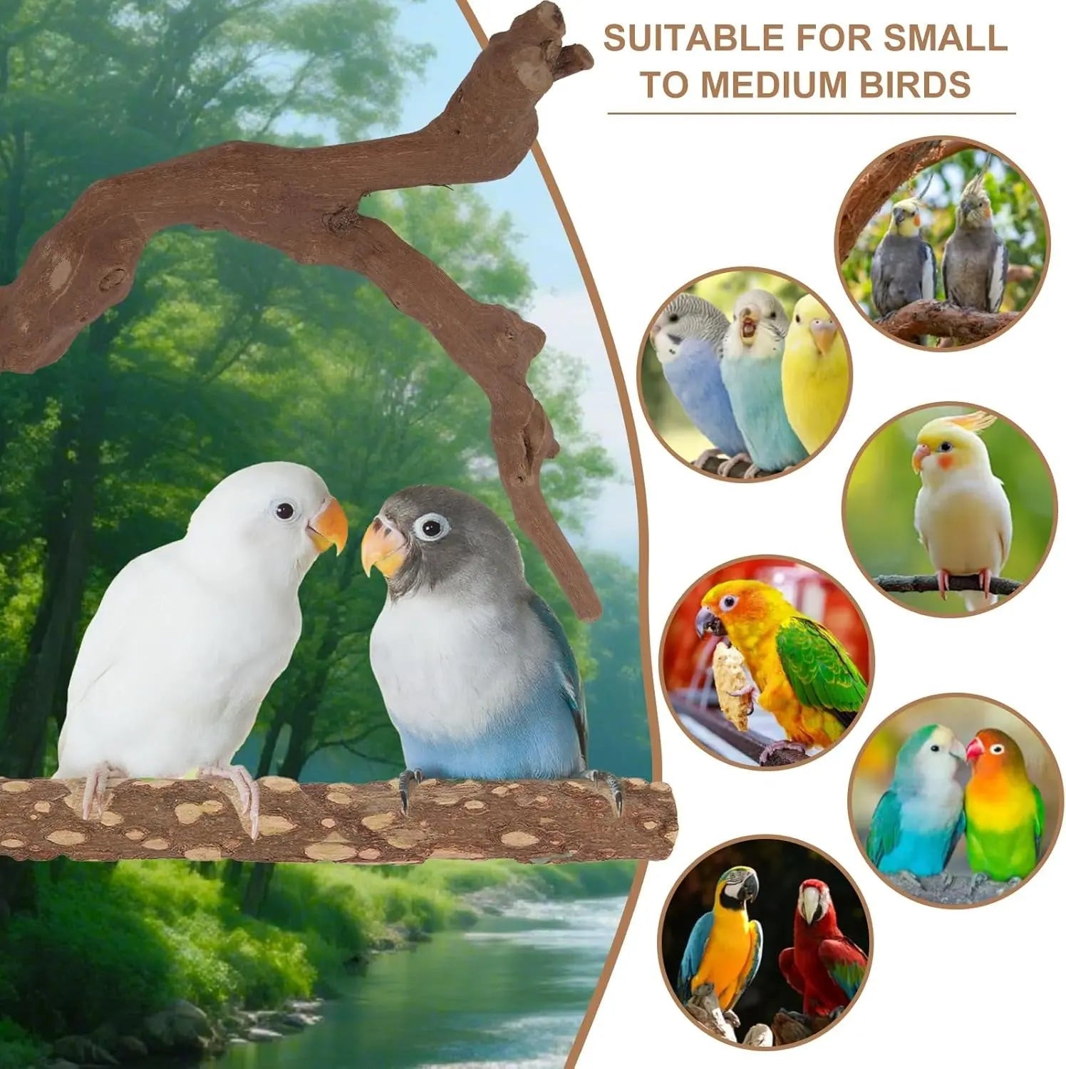 Natural Bird Perch Set – 6-Piece Grapewood & Peppercorn Branch Perches