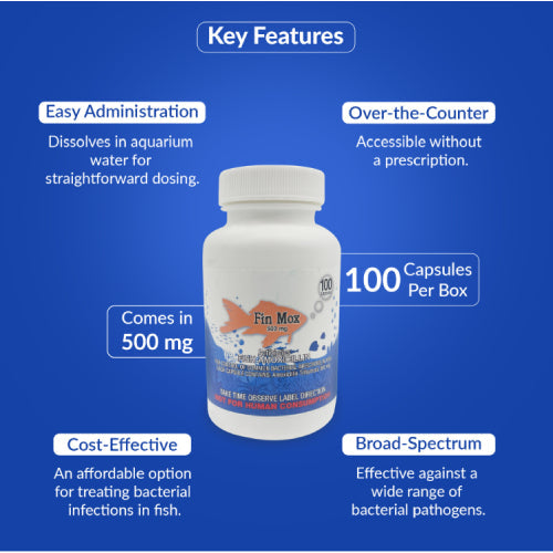 Fish Mox 500mg Capsules for Aquarium Fish – 100 Count – Water Care Support