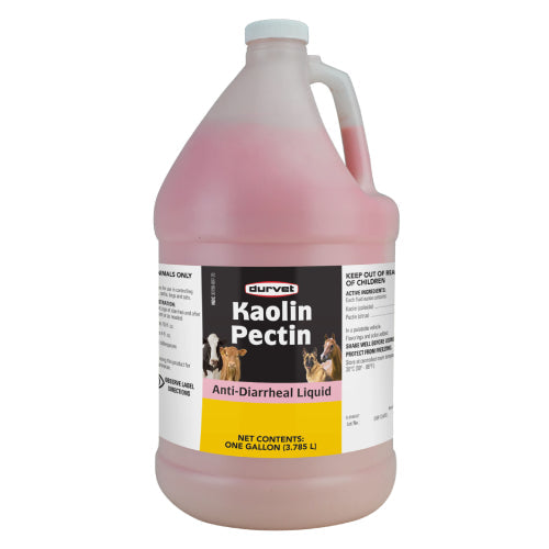 Durvet Kaolin Pectin Anti-Diarrheal Horse Cattle Dog & Cat Digestive 1 Gallon