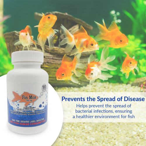 Fish Mox 500mg Capsules for Aquarium Fish – 100 Count – Water Care Support