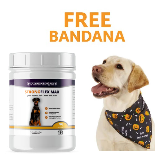 Piccardmeds4pets StrongFlex Max Joint Support Chews Large Dogs 180ct + FREE Bandana!
