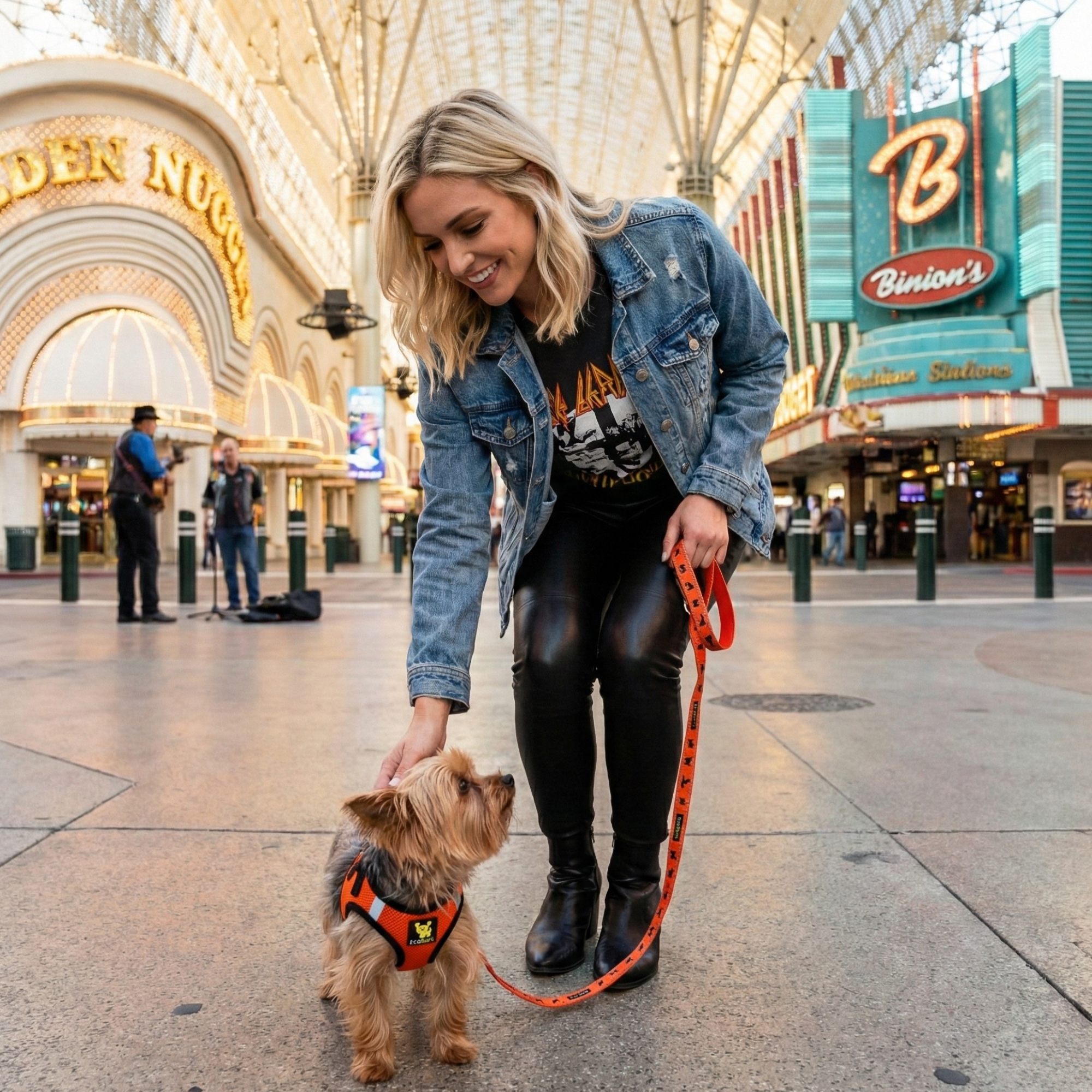 EcoBark Safety Orange Dog Leash- Padded Comfort Grip Leash with Dog Pattern - 4ft, 5ft, and 6ft Leash for Small and Medium Dogs