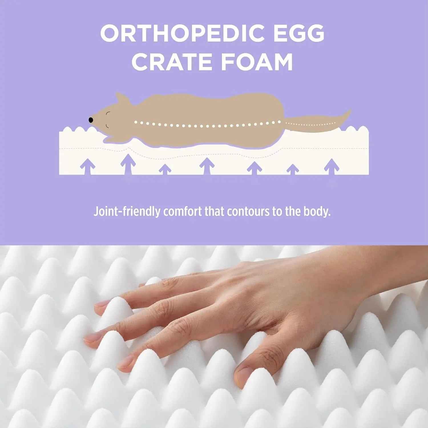 Orthopedic Dog Bed – Waterproof Plush Mat with Washable Cover