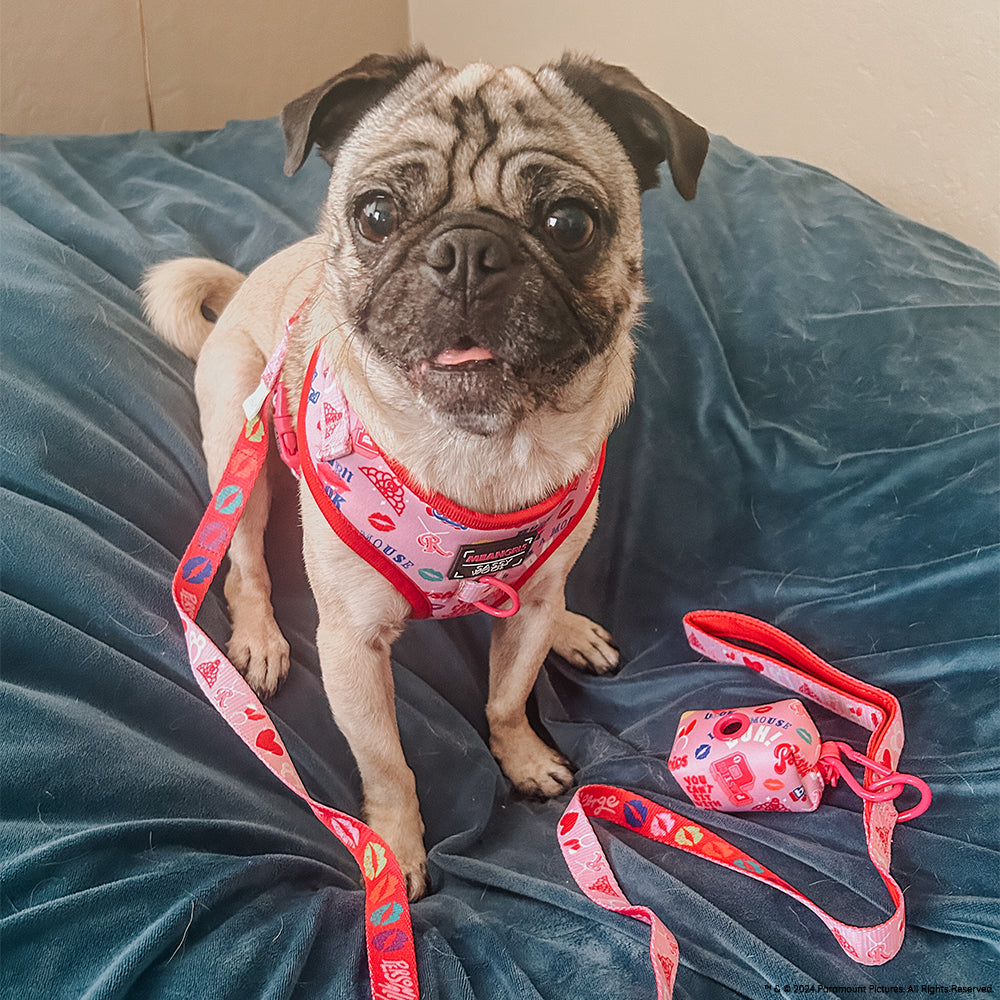 Dog Leash - Mean Girls™