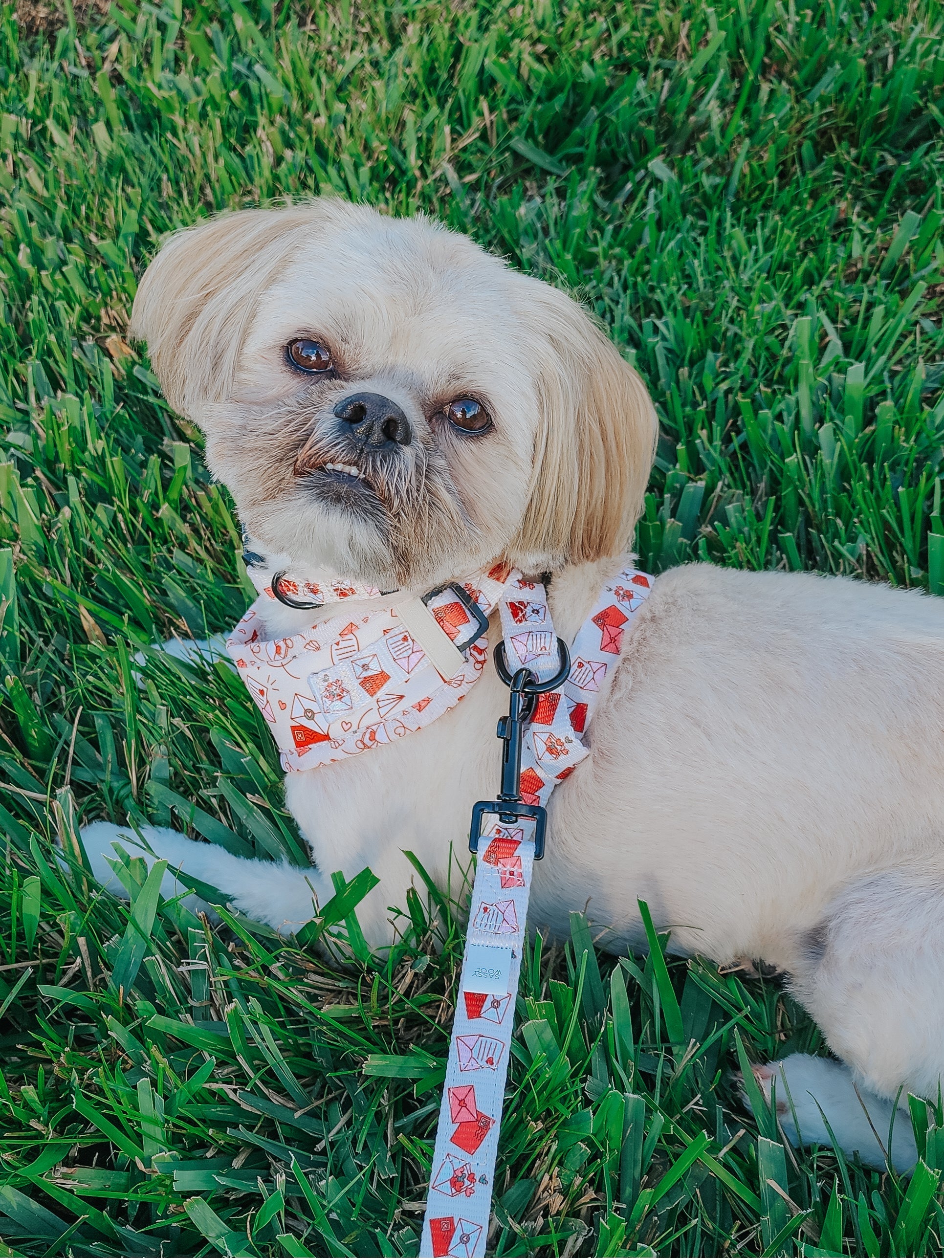 Dog Leash - P.S. I Woof You