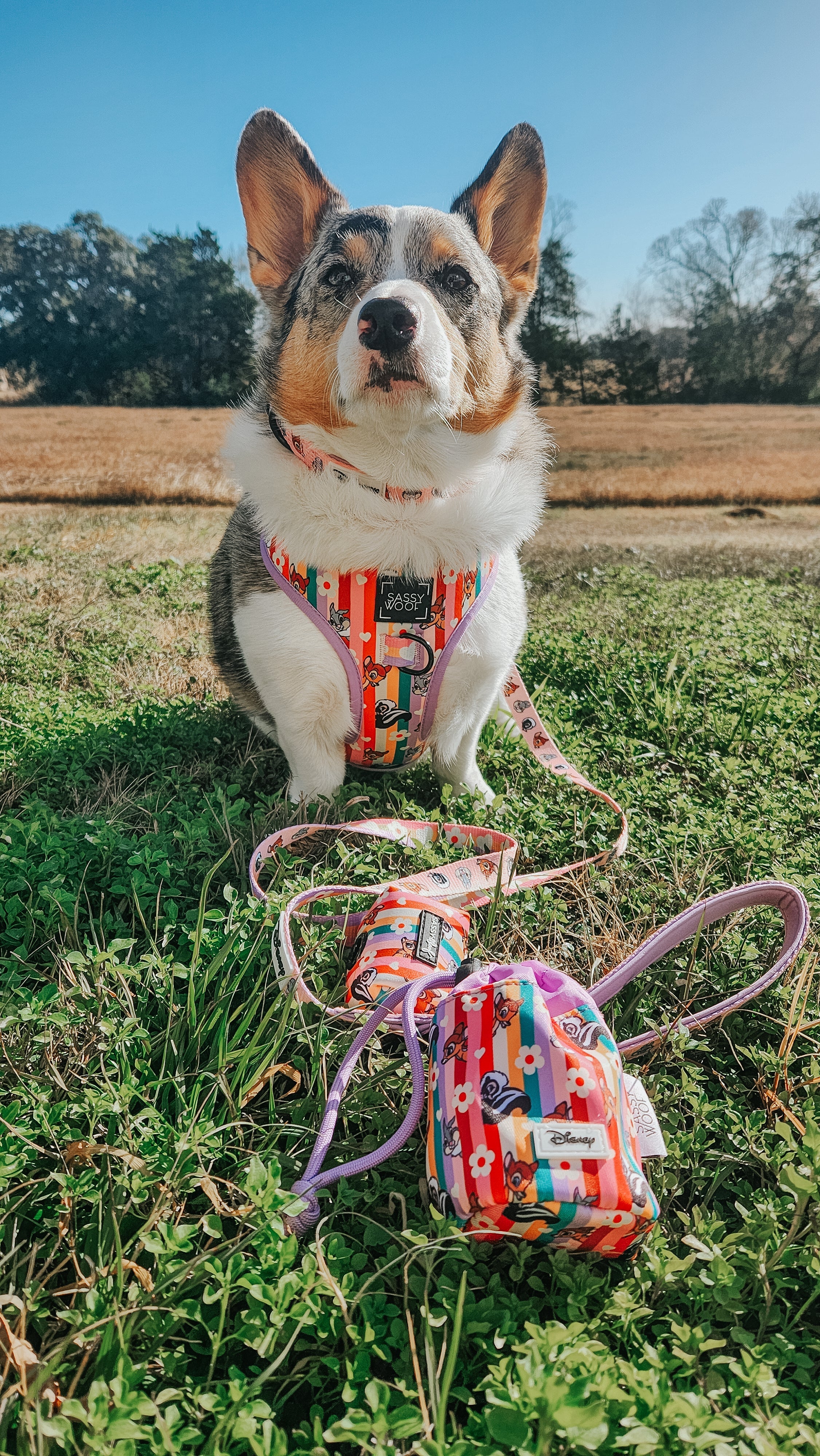 Dog Leash - Disney's Bambi