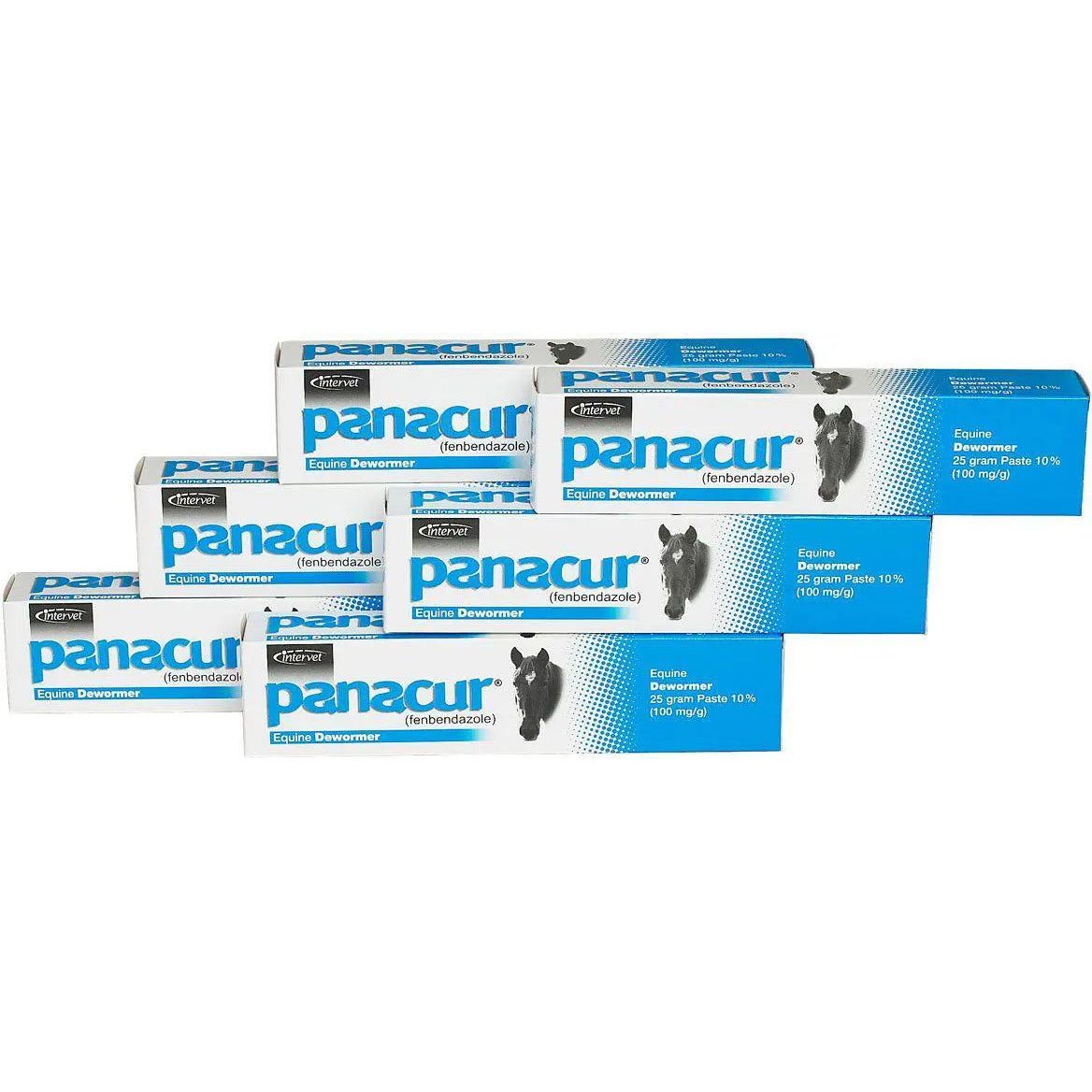 Panacur Equine Paste 10% Horse Dewormer 25g Apple Flavor 100mg