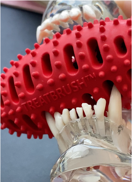 Natural Rubber Football Oral Care Toy <20 Lbs