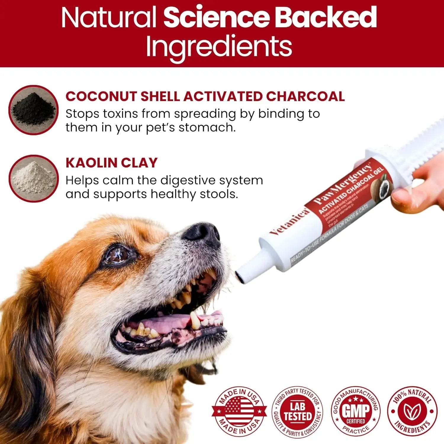 Pawmergency Activated Charcoal Pet First Aid Kit –Poison Rescue 2 Pack (30ml)
