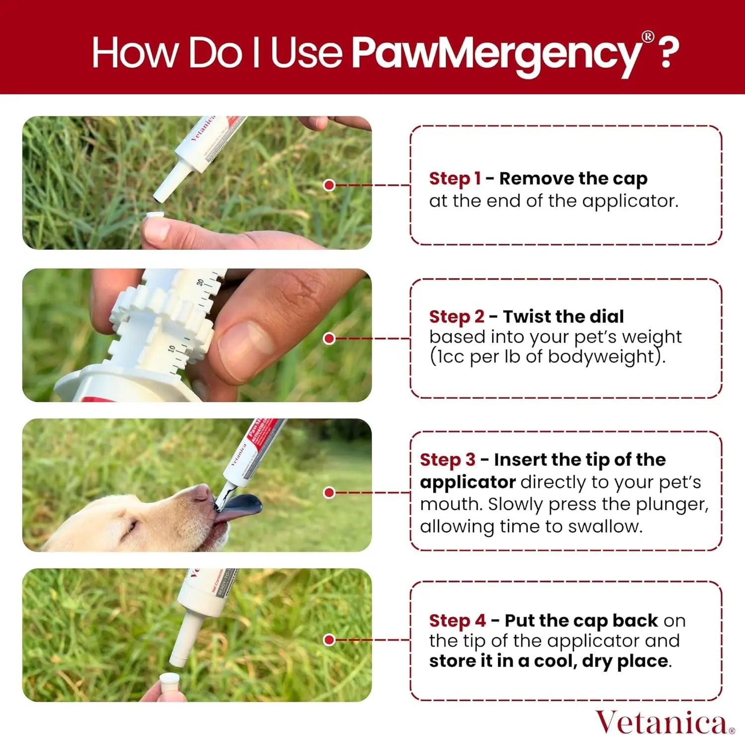 Pawmergency Activated Charcoal Pet First Aid Kit –Poison Rescue 2 Pack (30ml)