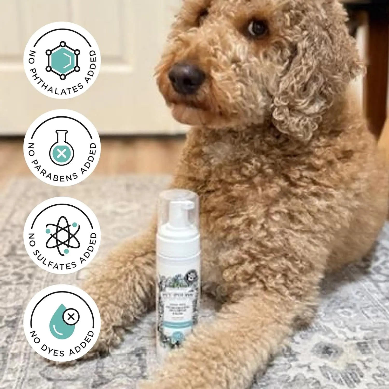 Pet Dry Shampoo No Rinse Foam Deodorizing Plant Based Dog Cat Odor