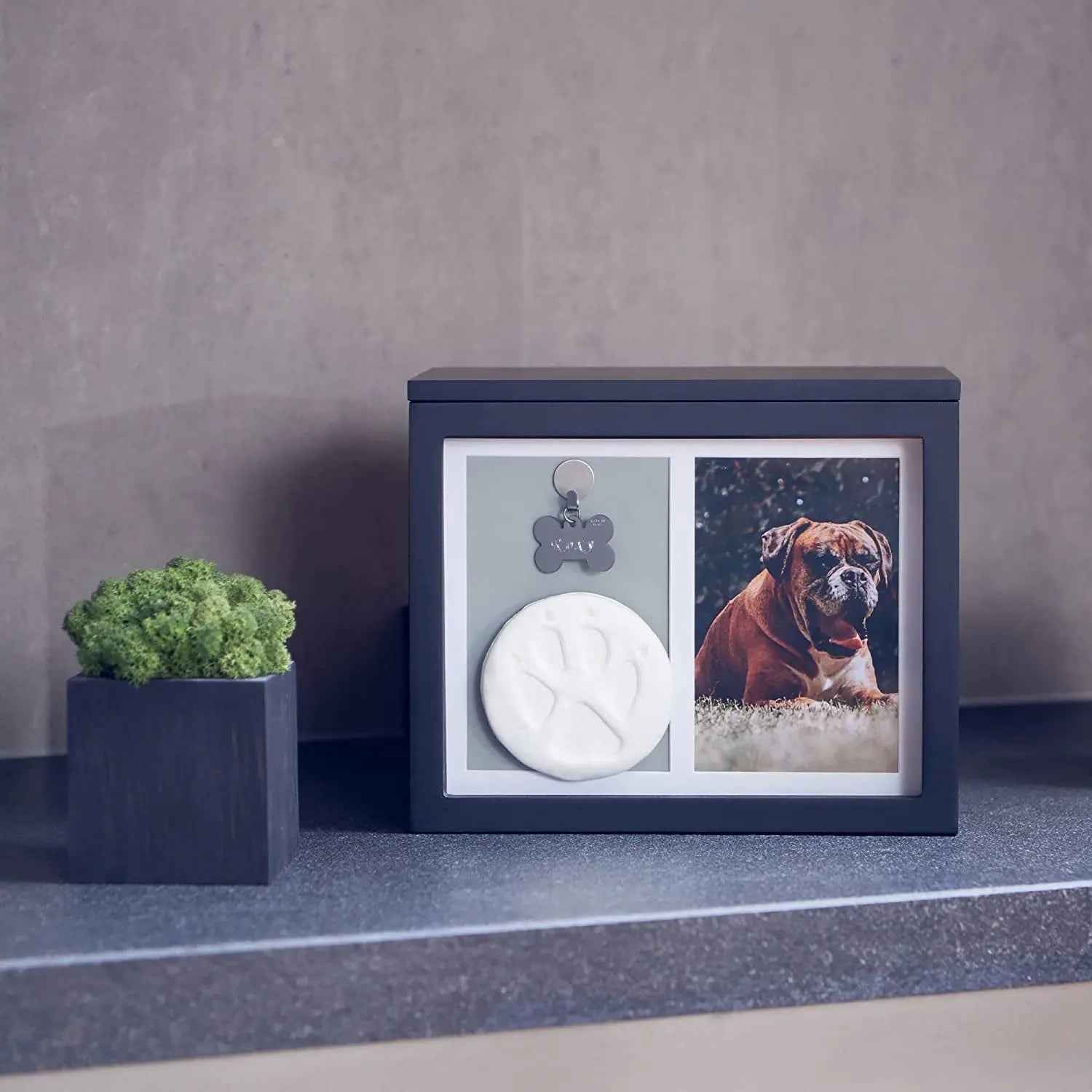 Pet Memorial Urn Keepsake Box with Photo Frame, Paw Print Kit & Photo Album