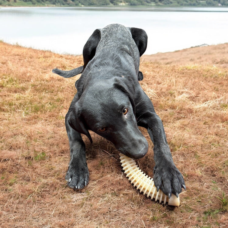 Flufflehorn Dental Antler - Indestructible Nylon Dog Chew Toy XL | USA Made