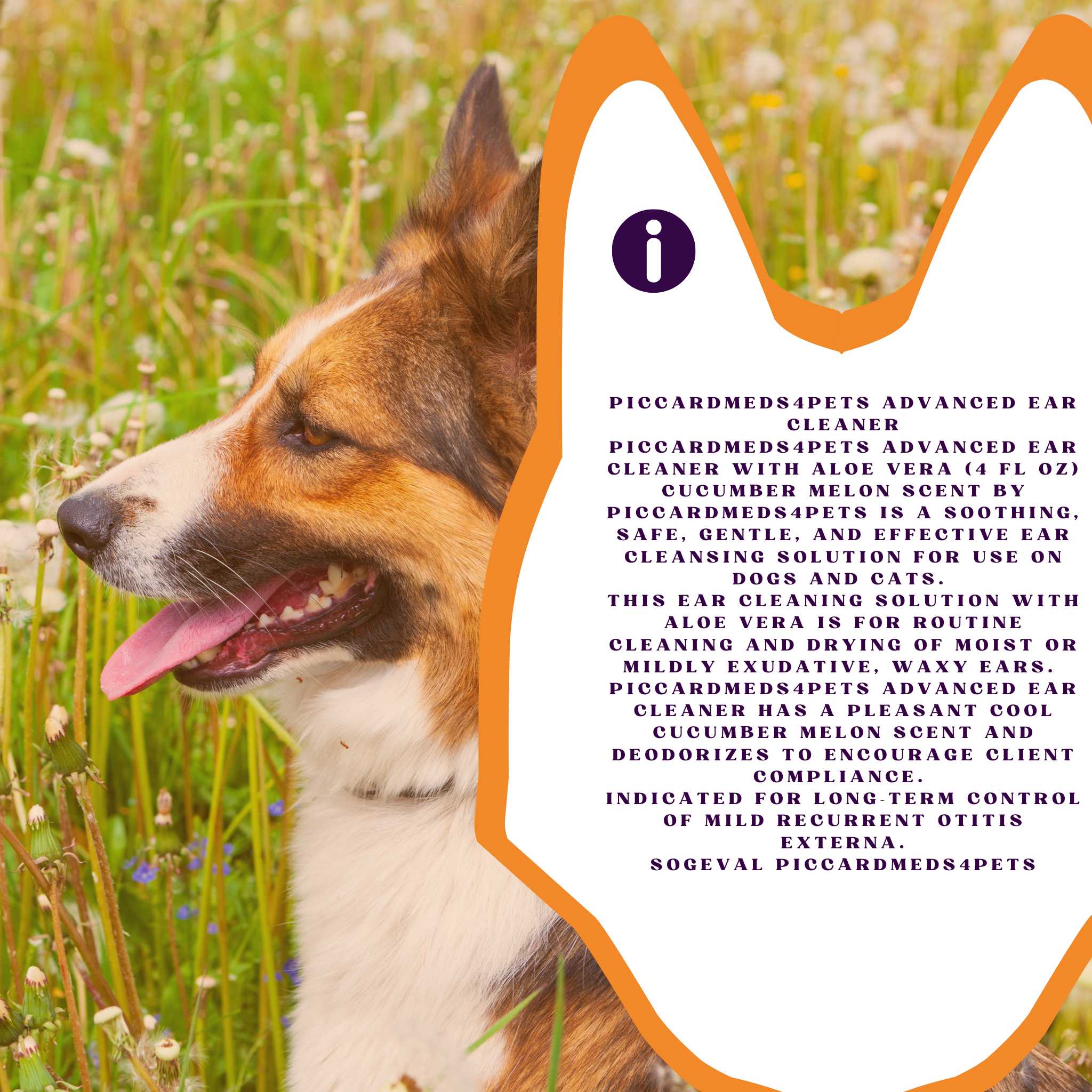 Piccardmeds4pets Ear Cleansing Solution  Salicylic Acid Aloe 4 oz. + Free Bandana