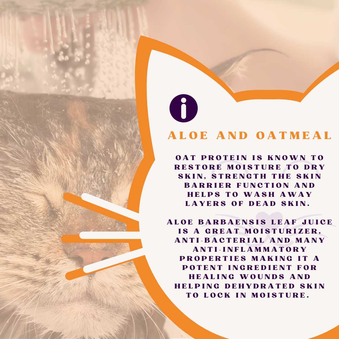 Piccardmeds4pets Fresh Cat Aloe and Oats Shampoo 12 oz.