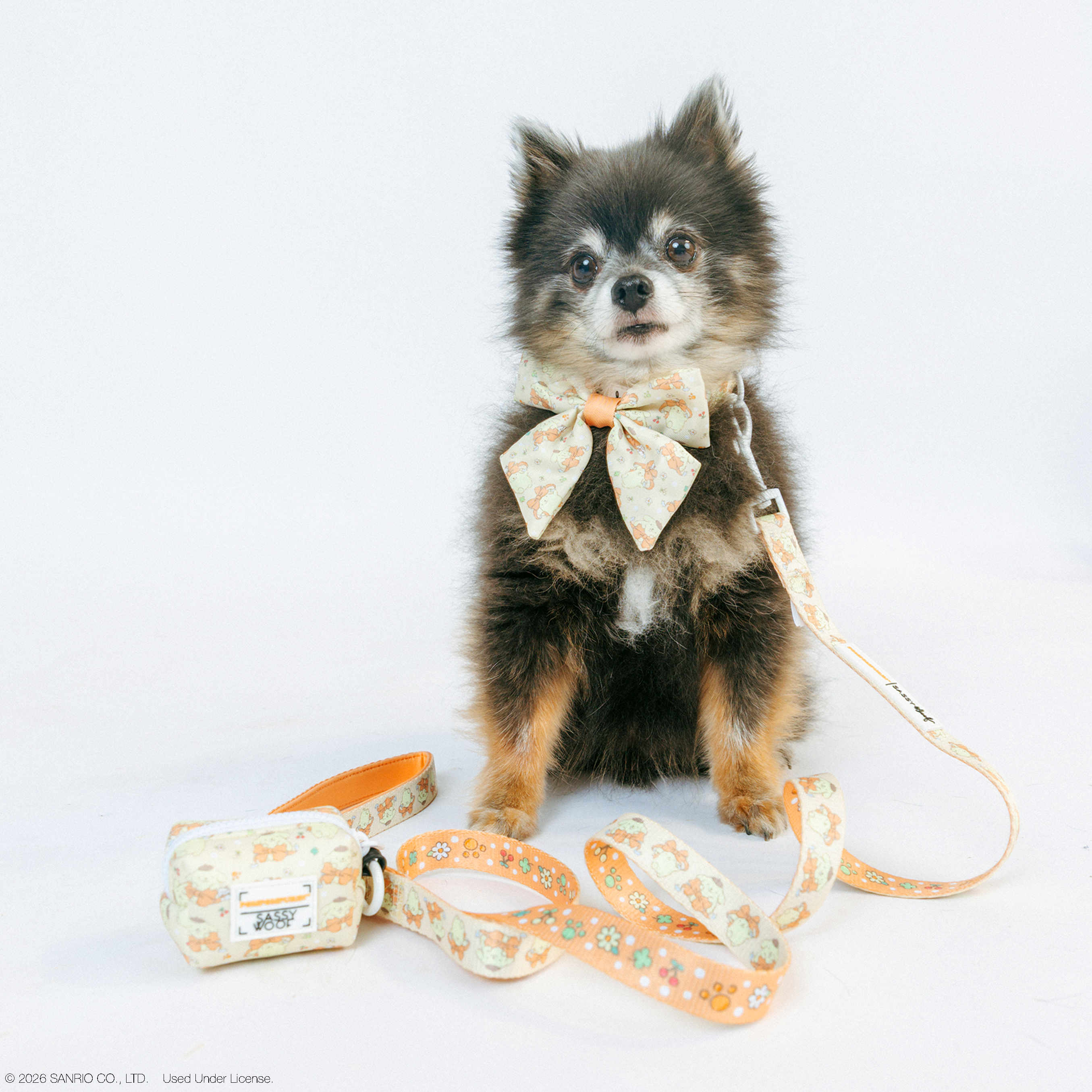 Dog Leash - Pompompurin™