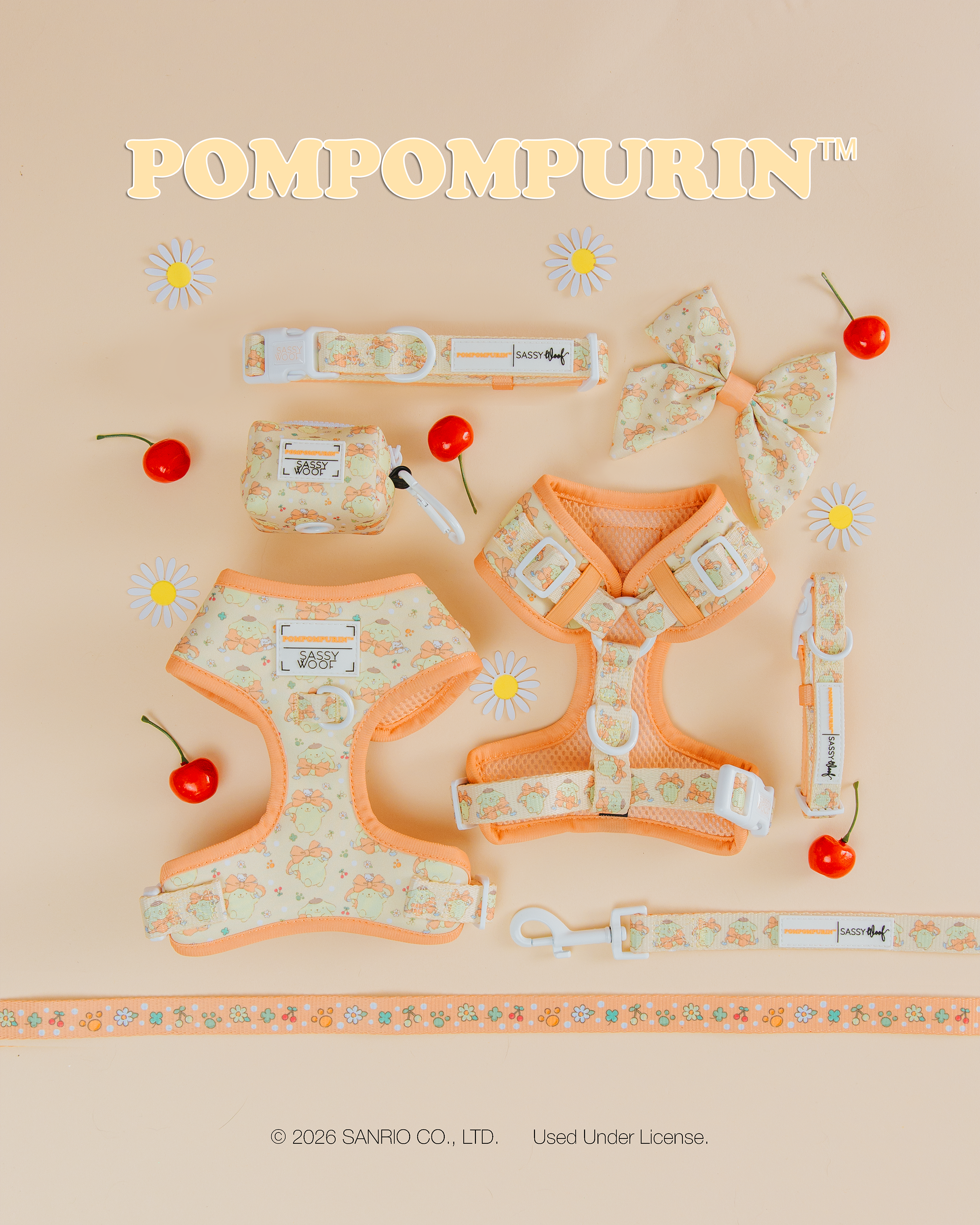 Dog Leash - Pompompurin™