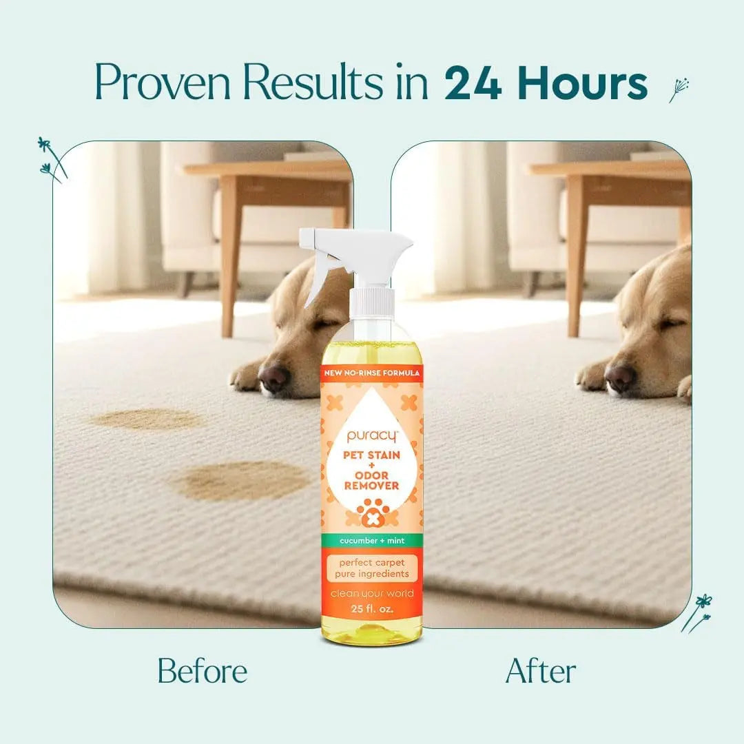 Professional Strength Pet Stain & Odor Remover Enzyme Cleaner 25oz Spray