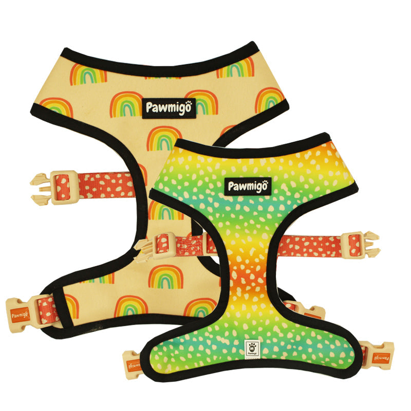 Chasing Rainbows Reversible Harness