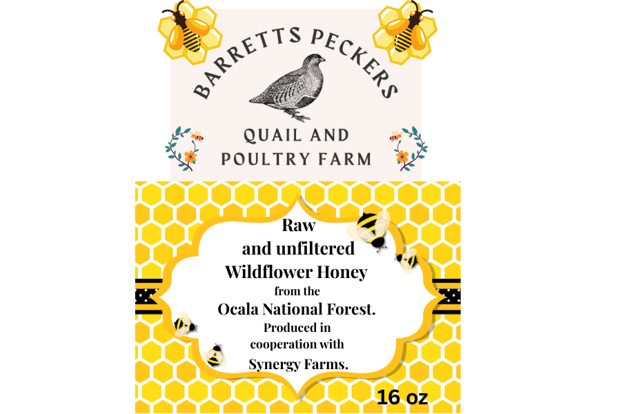 Raw and unfiltered  Wildflower Honey from the Ocala National Forest
