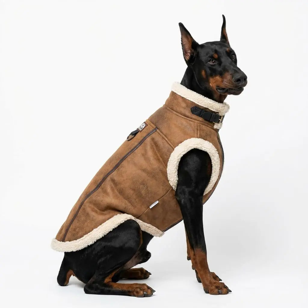 Retro Aviator Dog Jacket – Faux Leather Sherpa Coat