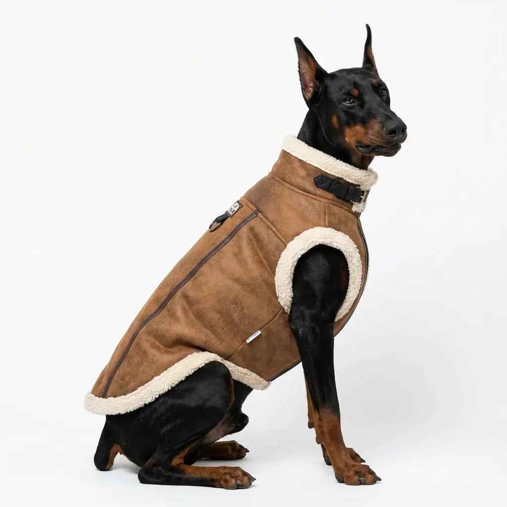 Retro Aviator Dog Jacket – Faux Leather Sherpa Coat