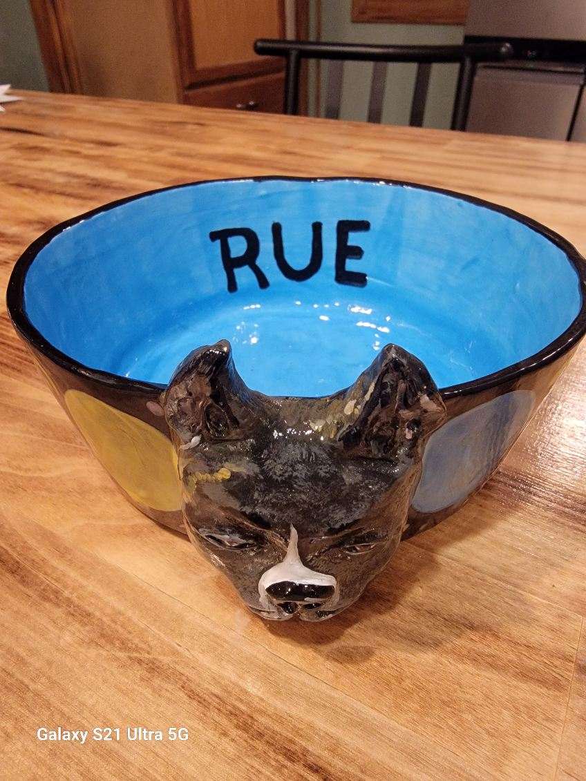 Special Custom Pet Bowls -  for small, medium and large size dogs