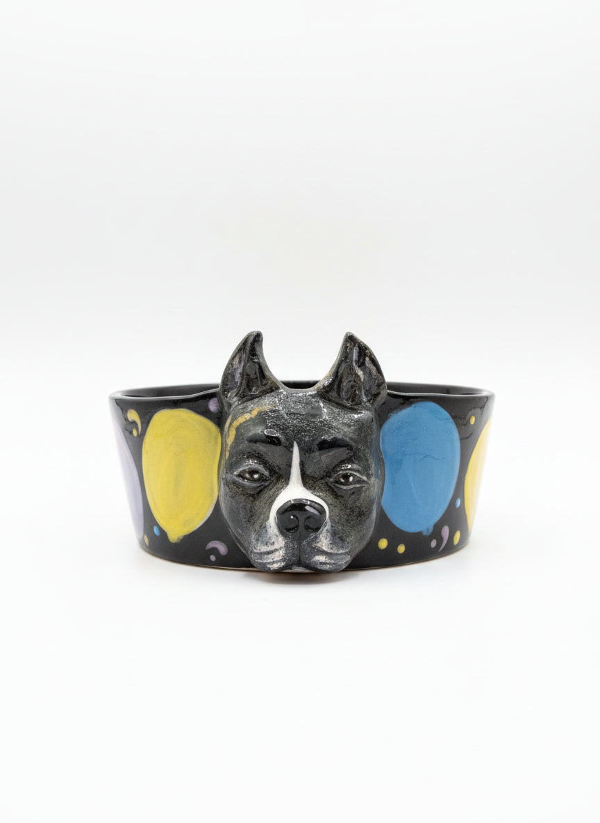 Special Custom Pet Bowls -  for small, medium and large size dogs
