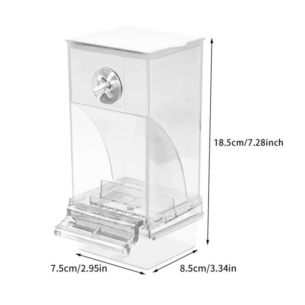 Parrot Feeder Anti-Spill Transparent Bird Food Box Clear Feeding Device for Parrots Durable Bird Feeding Box